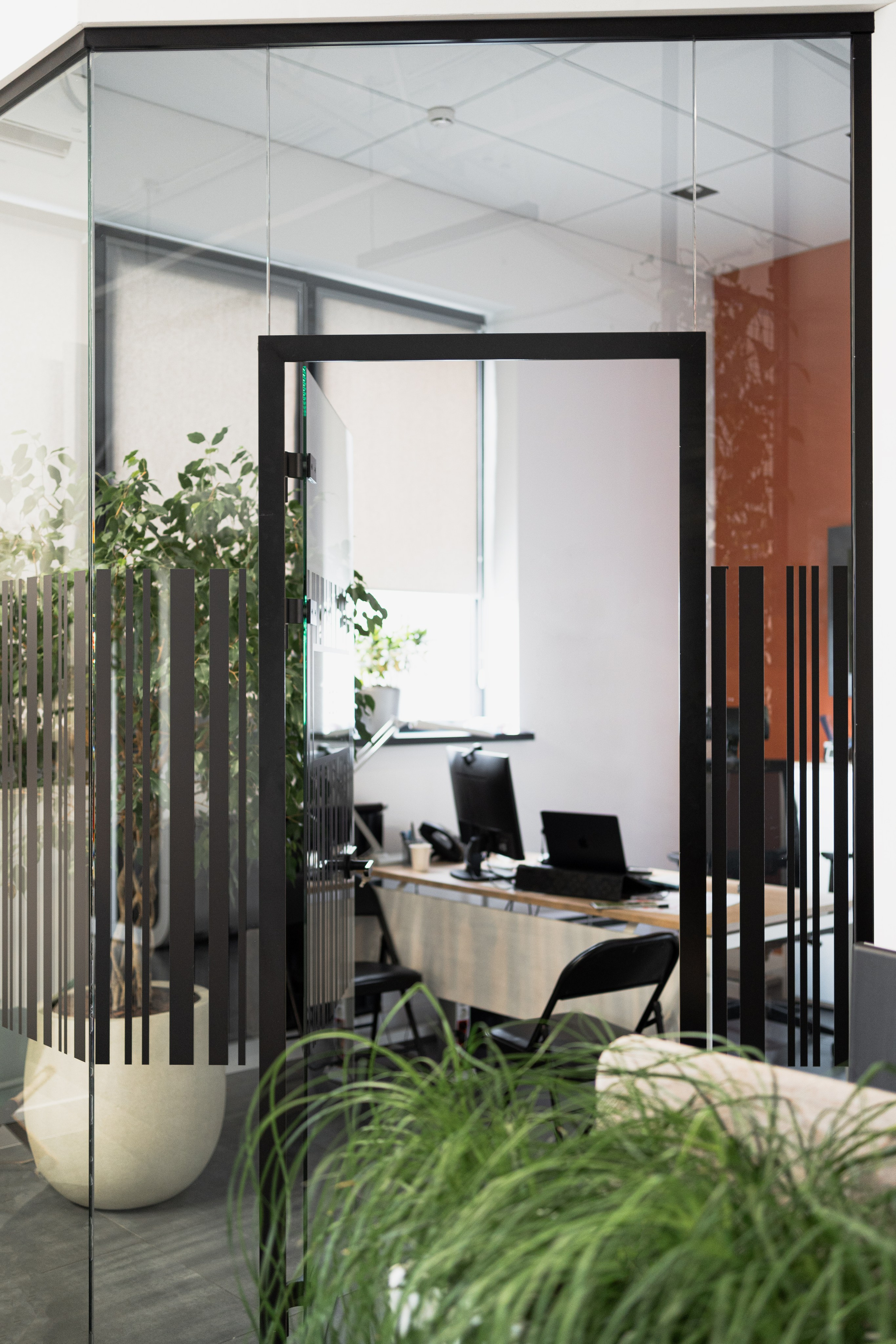 Terra. Елена Пашкевич, фотограф, Москва