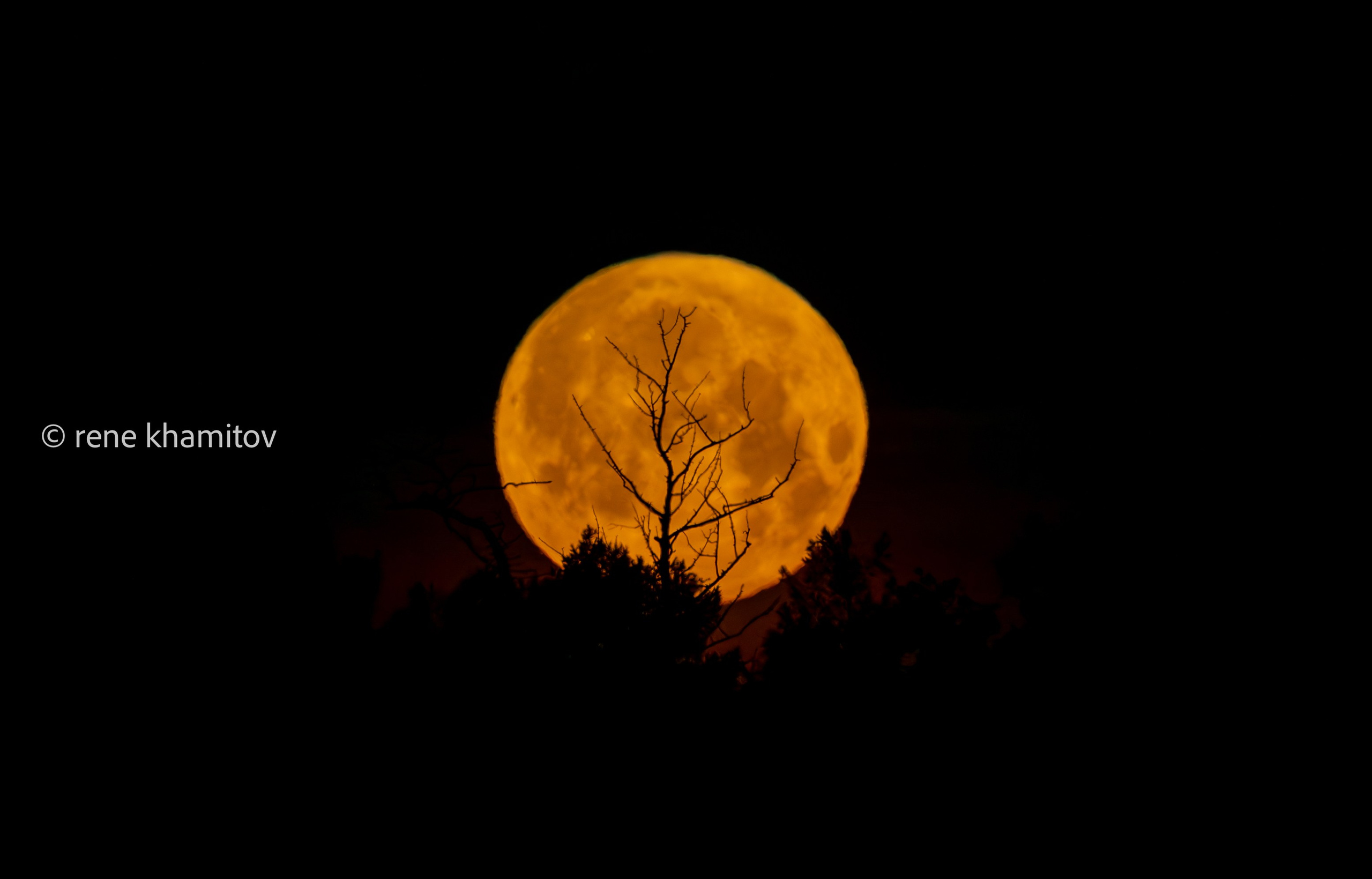 Rising moon over my village. Pictures of Rene Khamitov