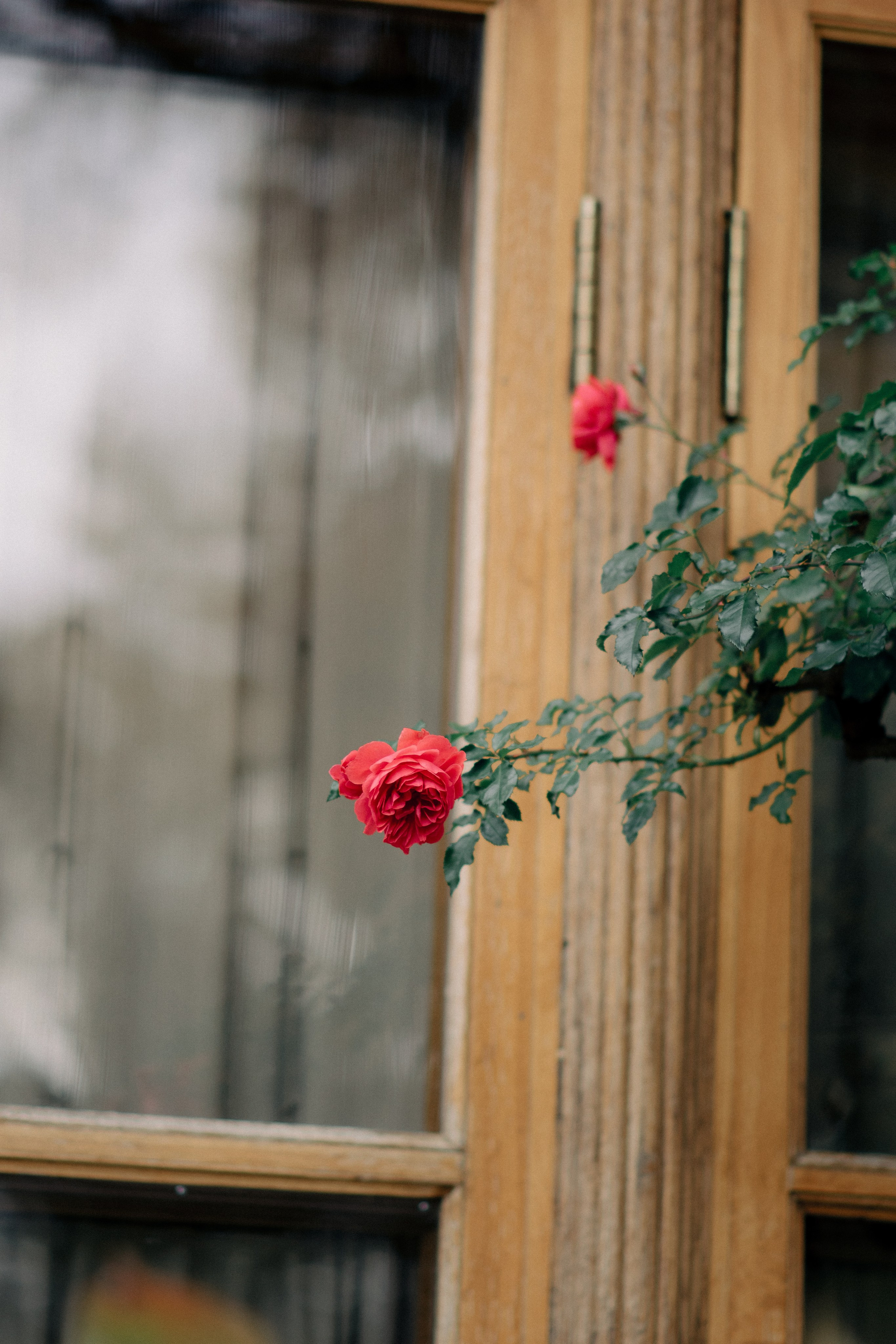 Женский, семейный фотограф в Санкт-Петербурге Катерина Ващенко