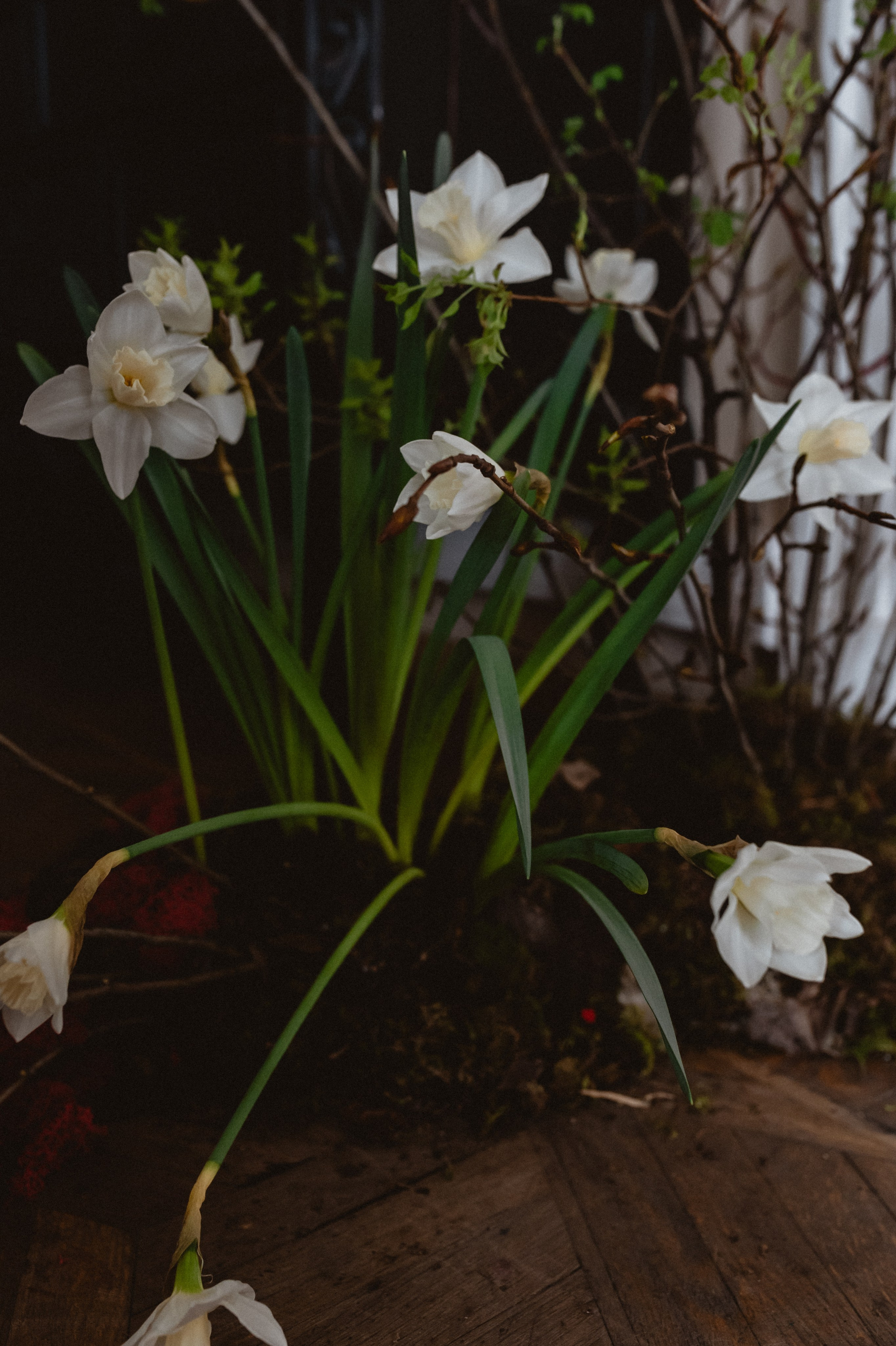 Эрнест & Аня. Оформление свадеб, декор свадеб Вера Маркова, Москва
