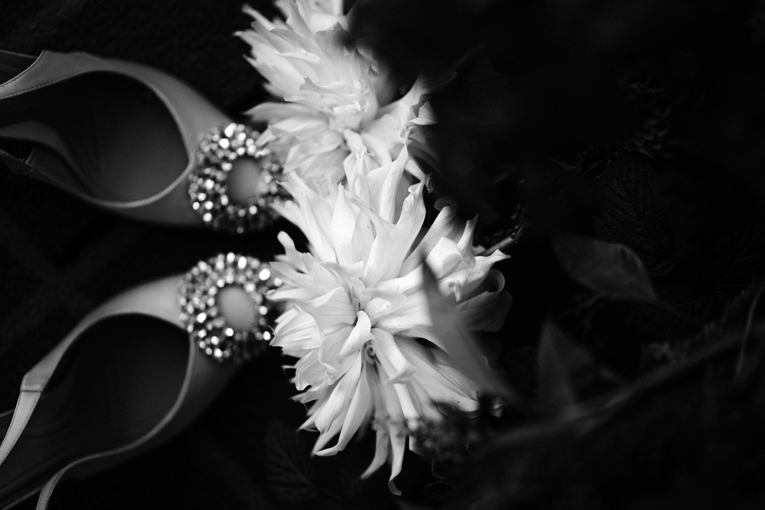 Дима & Милана. Оформление свадеб, декор свадеб Вера Маркова, Москва