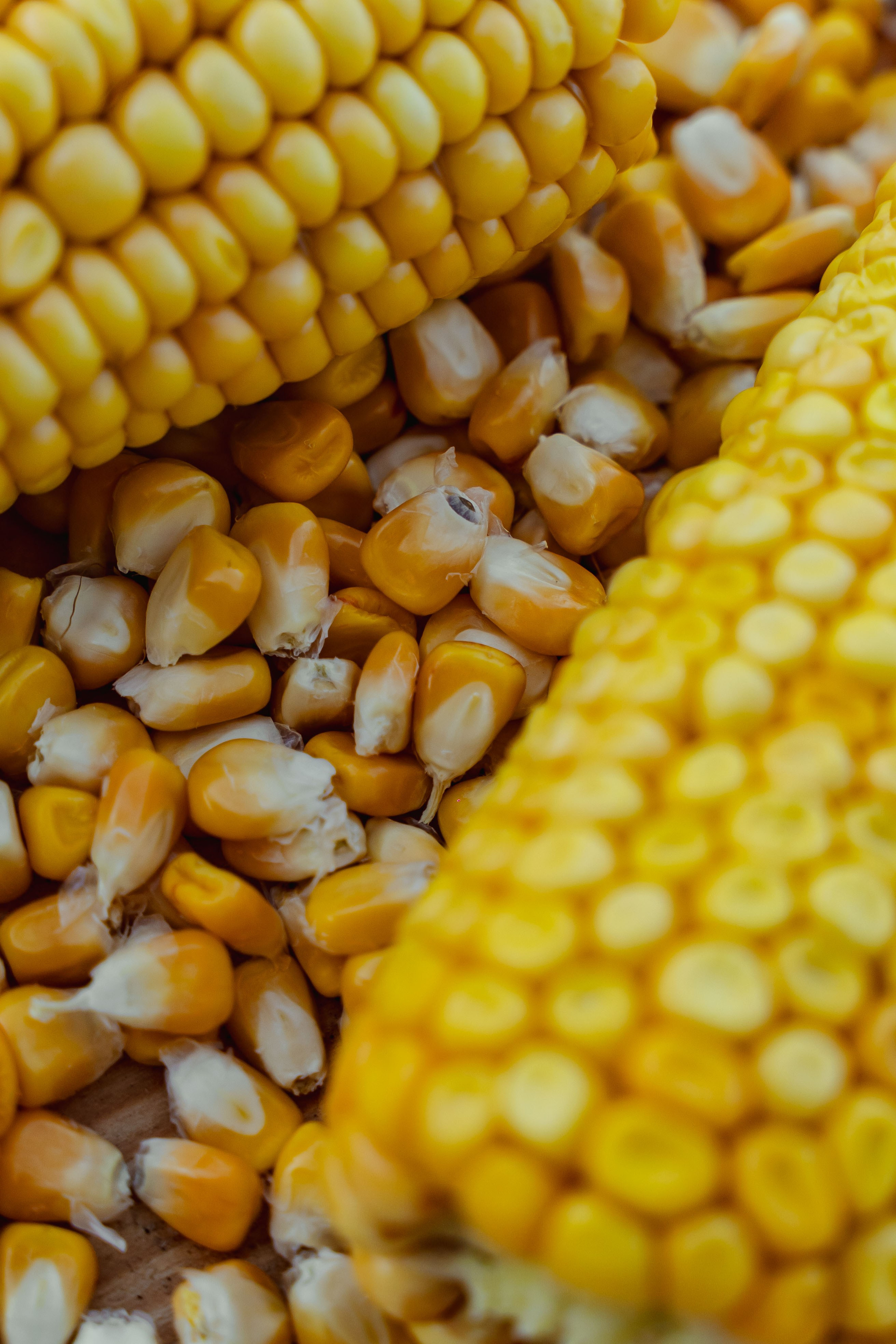 Коммерция. Портретный и событийный фотограф в Барнауле, Москве, Новосибирске