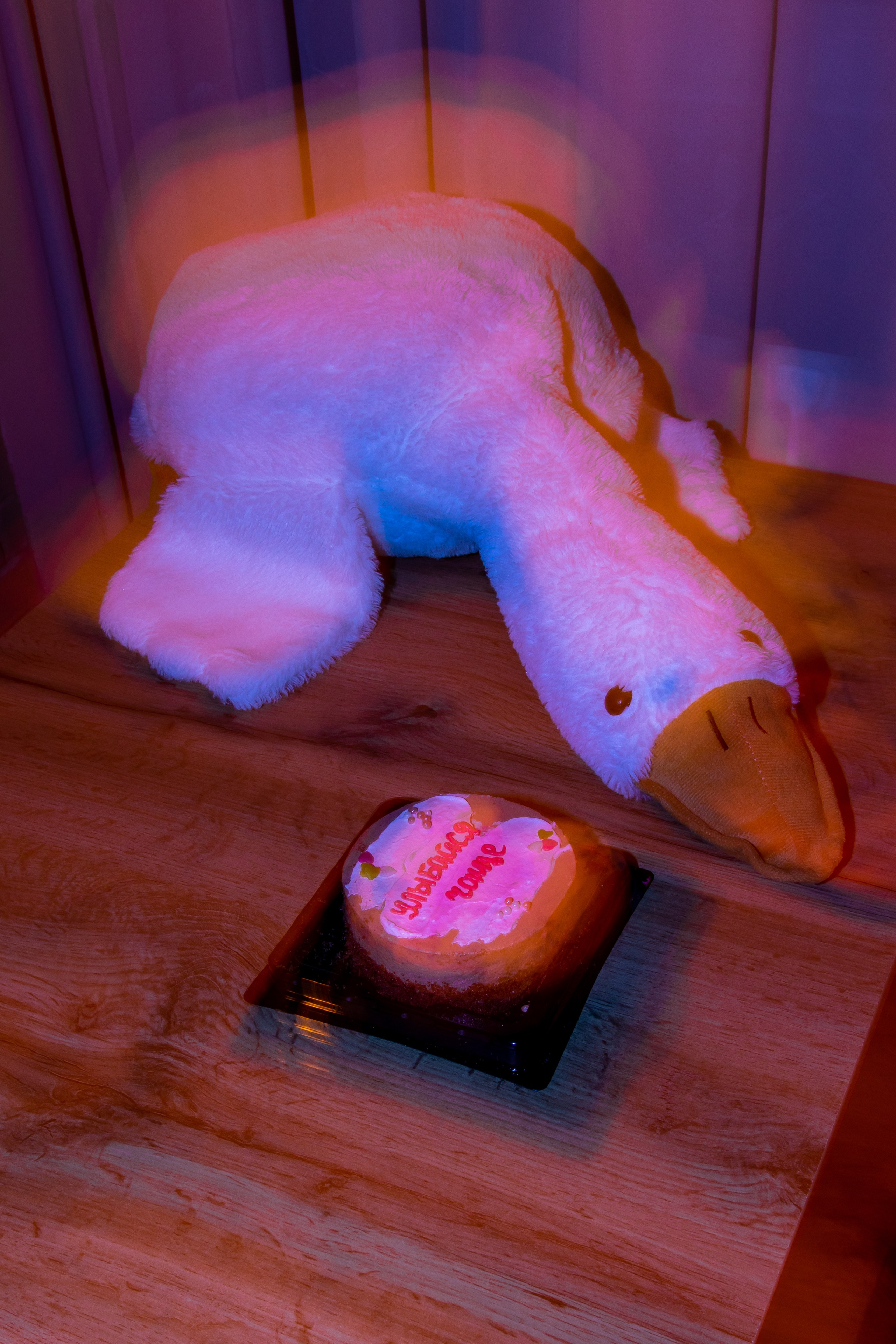 Happy birthday's song. Лиза, ваш портретный и репортажный фотограф в Ульяновске!