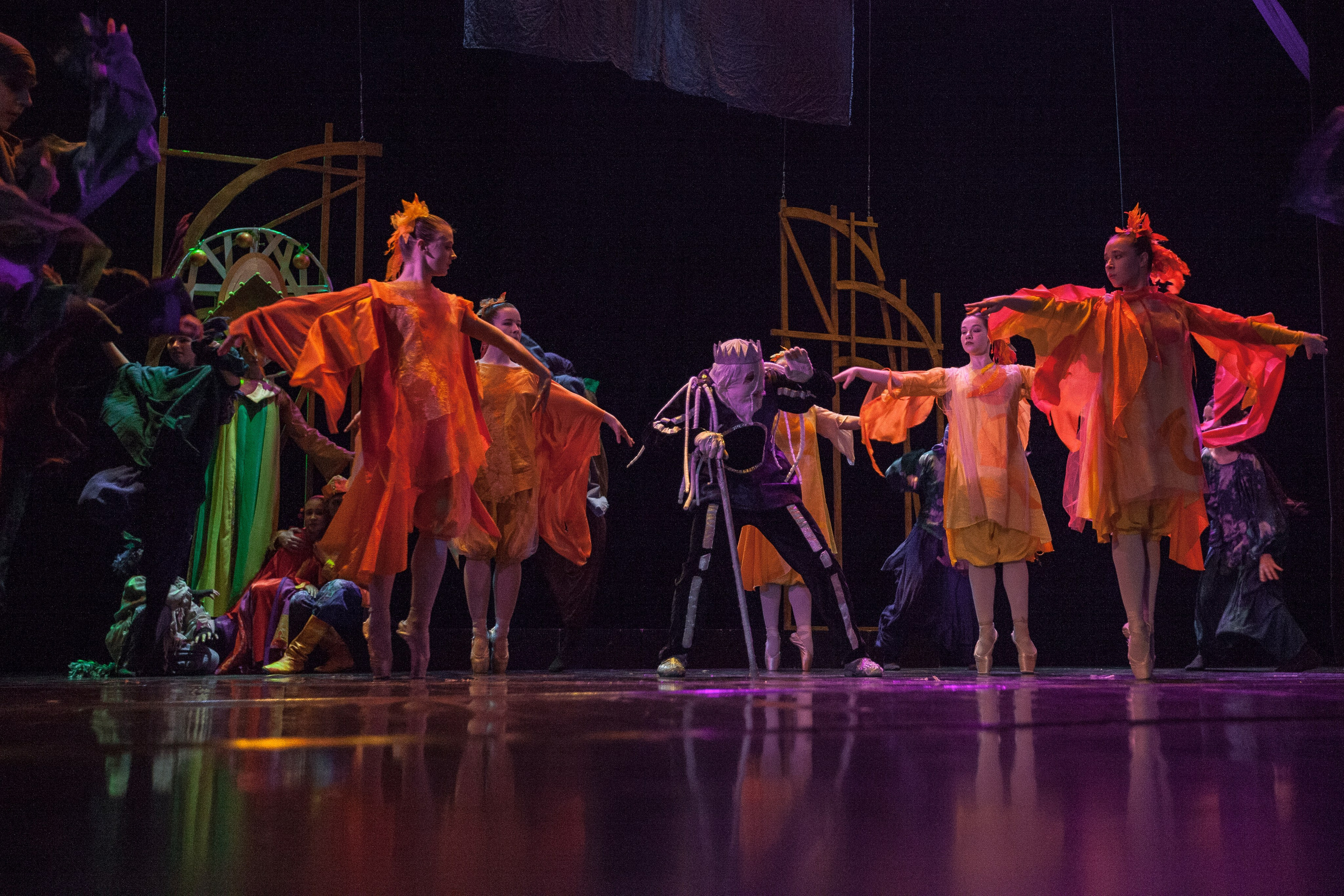 Балет «Жар-птица». Семейный и предметный фотограф Мария Львова Санкт-Петербург flitphoto