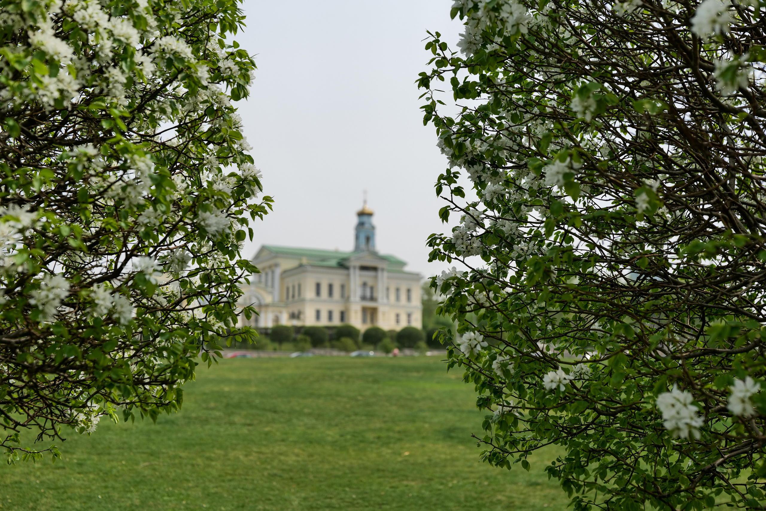 9мая. Владимир Власюк