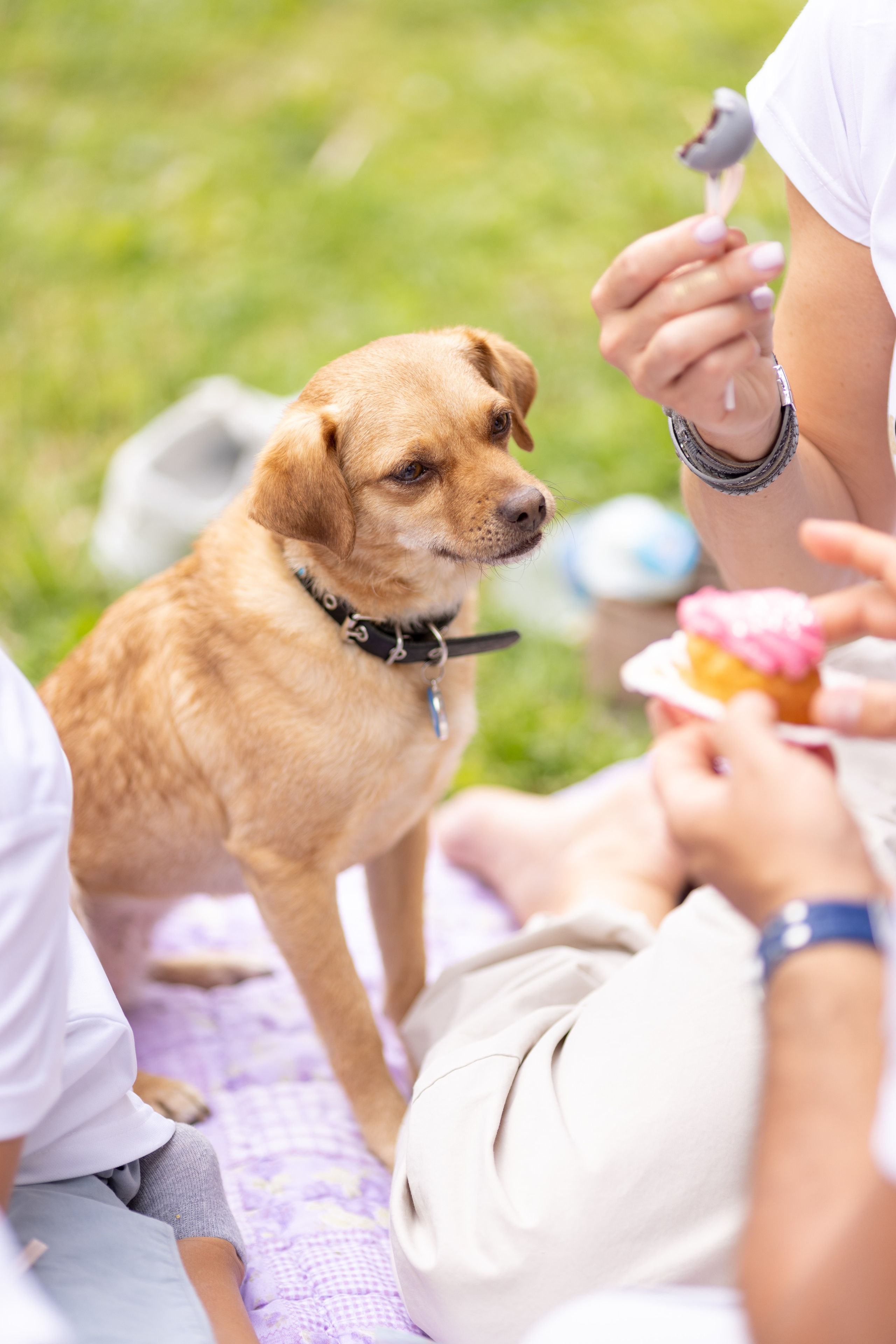 Детские праздники. Фотограф Наталья Угрюмова, г. Москва
