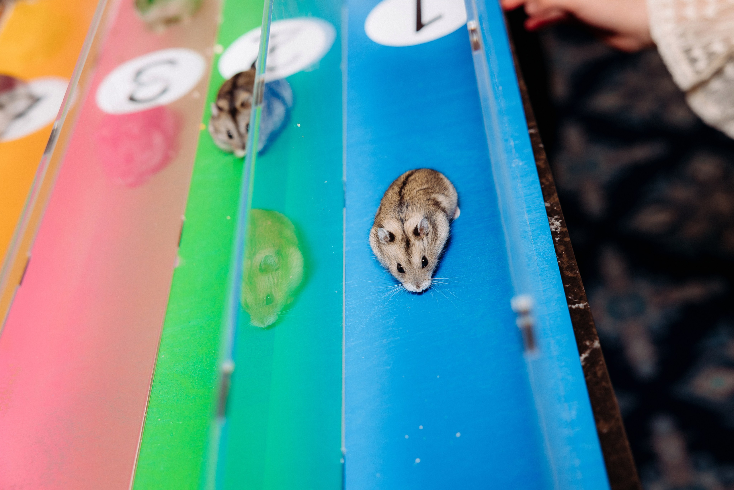 Дни Рождения. Фотограф в Санкт-Петербурге Кирюшенков Андрей