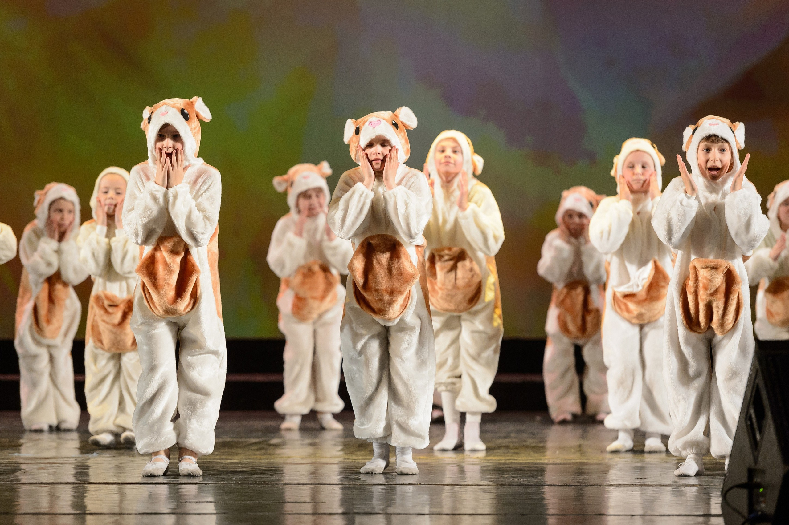 23 мая, концерт 5 лет, БКЗ. Золотое яблочко