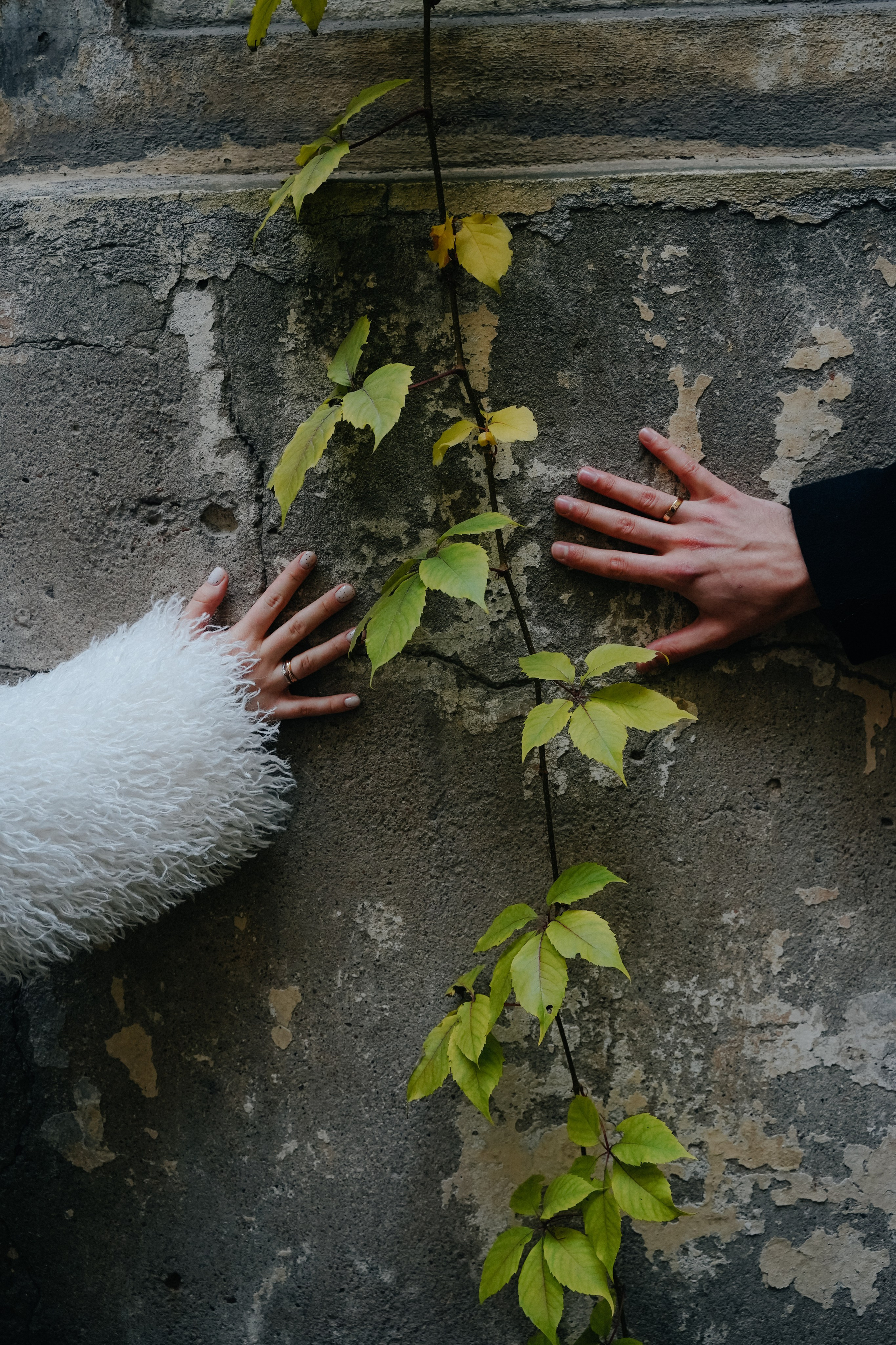 Молодость и бунтарство