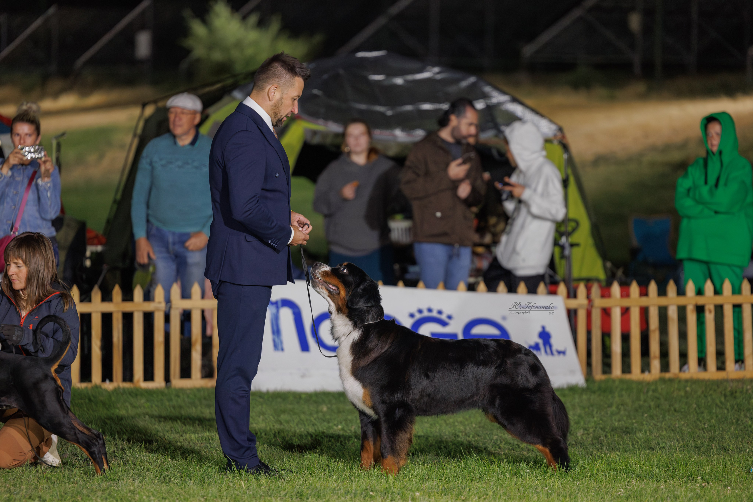 Ереван 3хCACIB 23-25.06.2025. Фотограф-анималист Юлия Германика