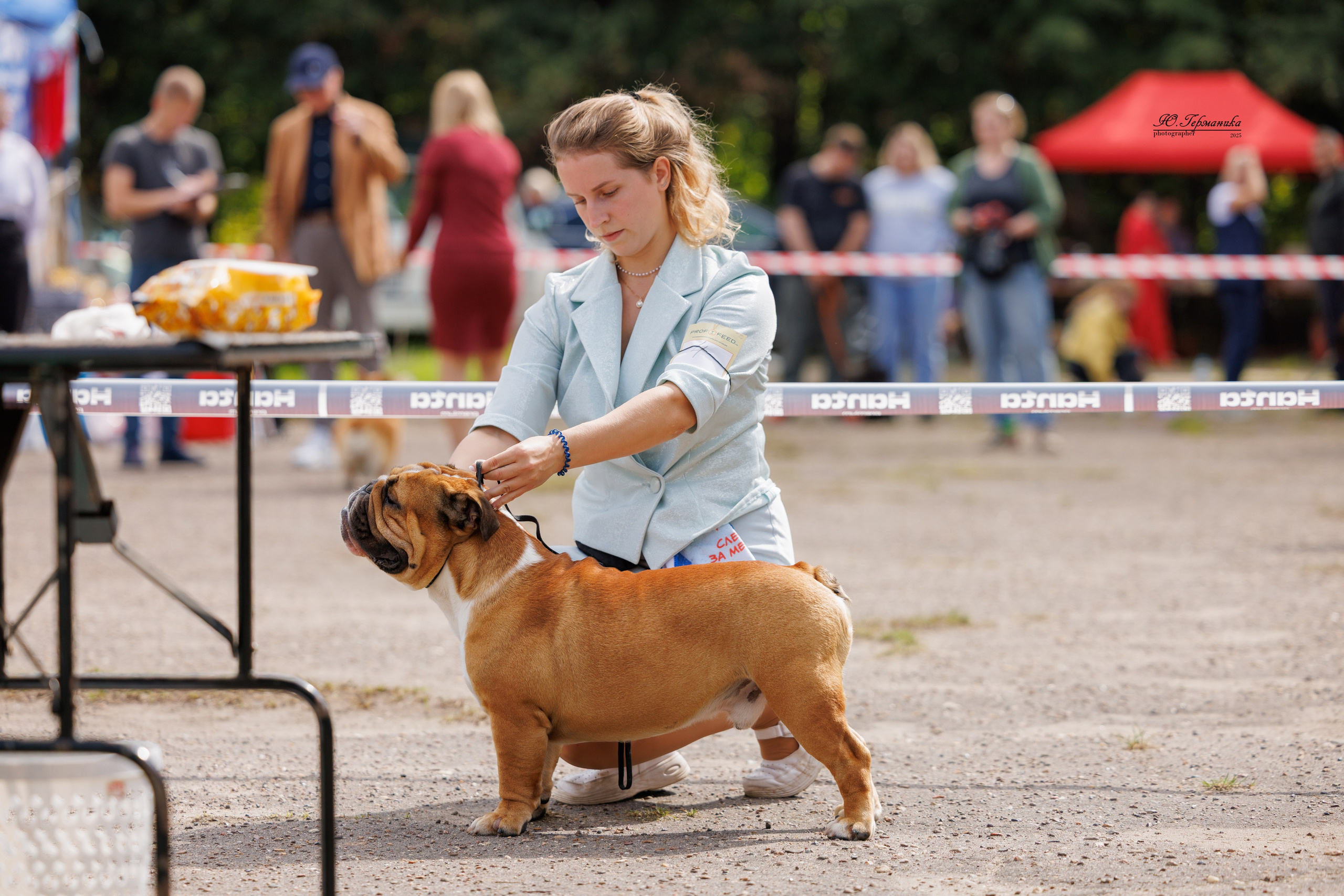 Тверь 10.08.2025. Фотограф-анималист Юлия Германика