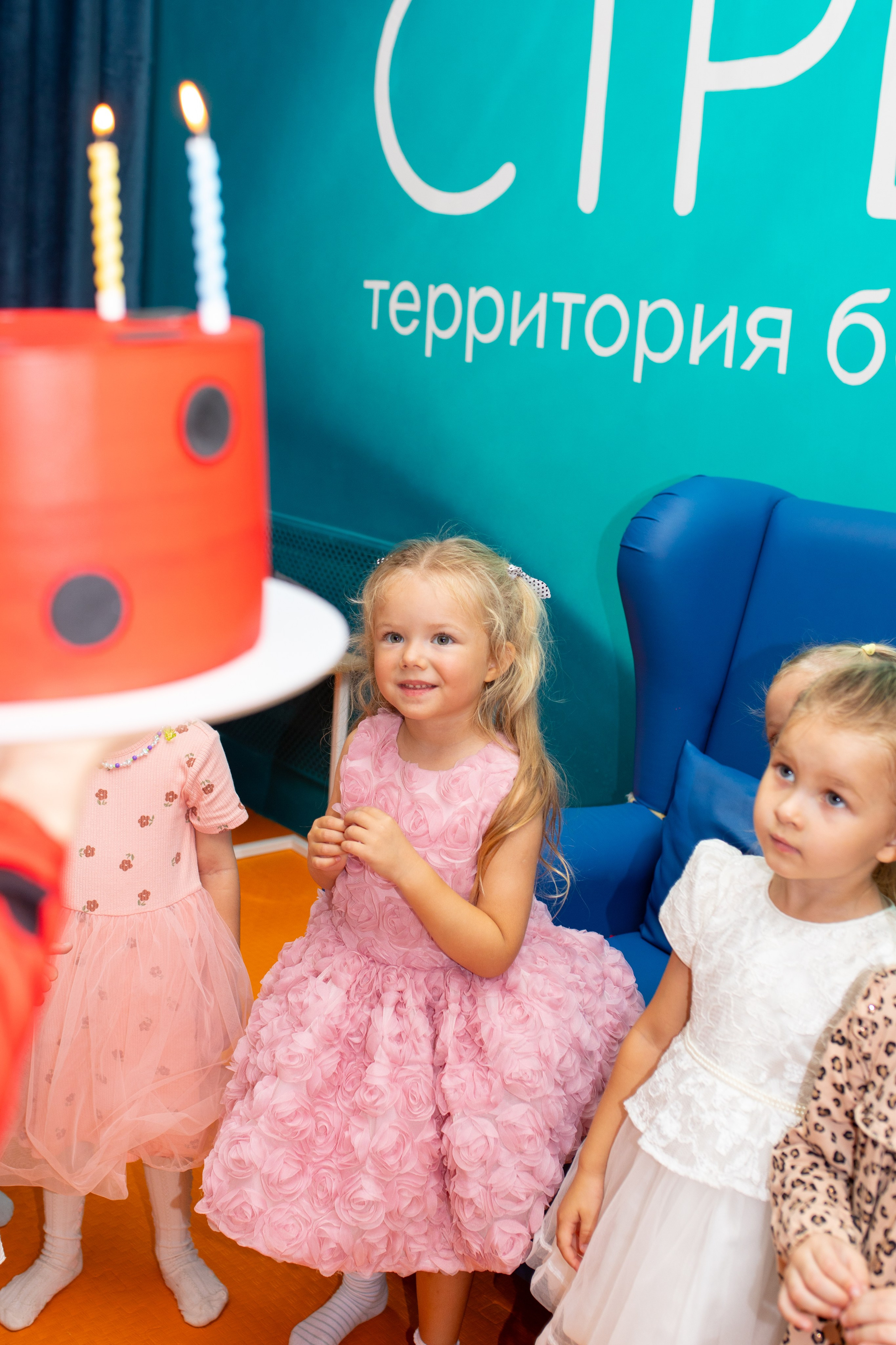 Стрекоза. Фотограф в Новосибирске Ася Зверева