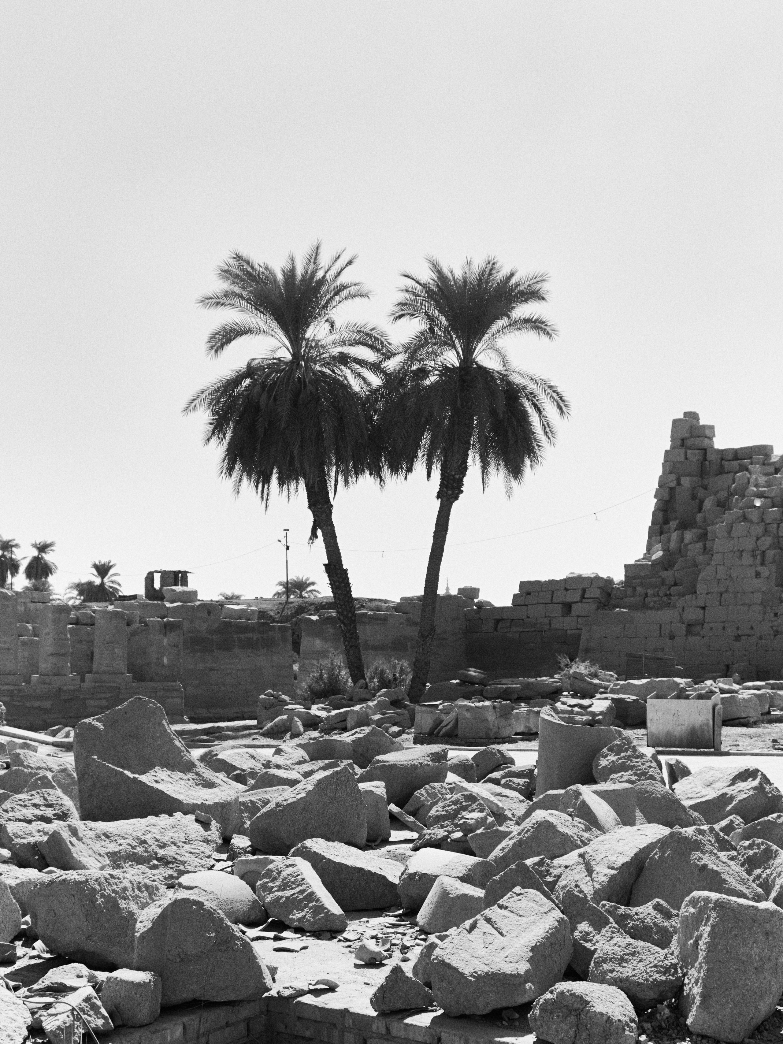 Другое 4. Jorgis — фотограф в Хургаде / обучение фотографии