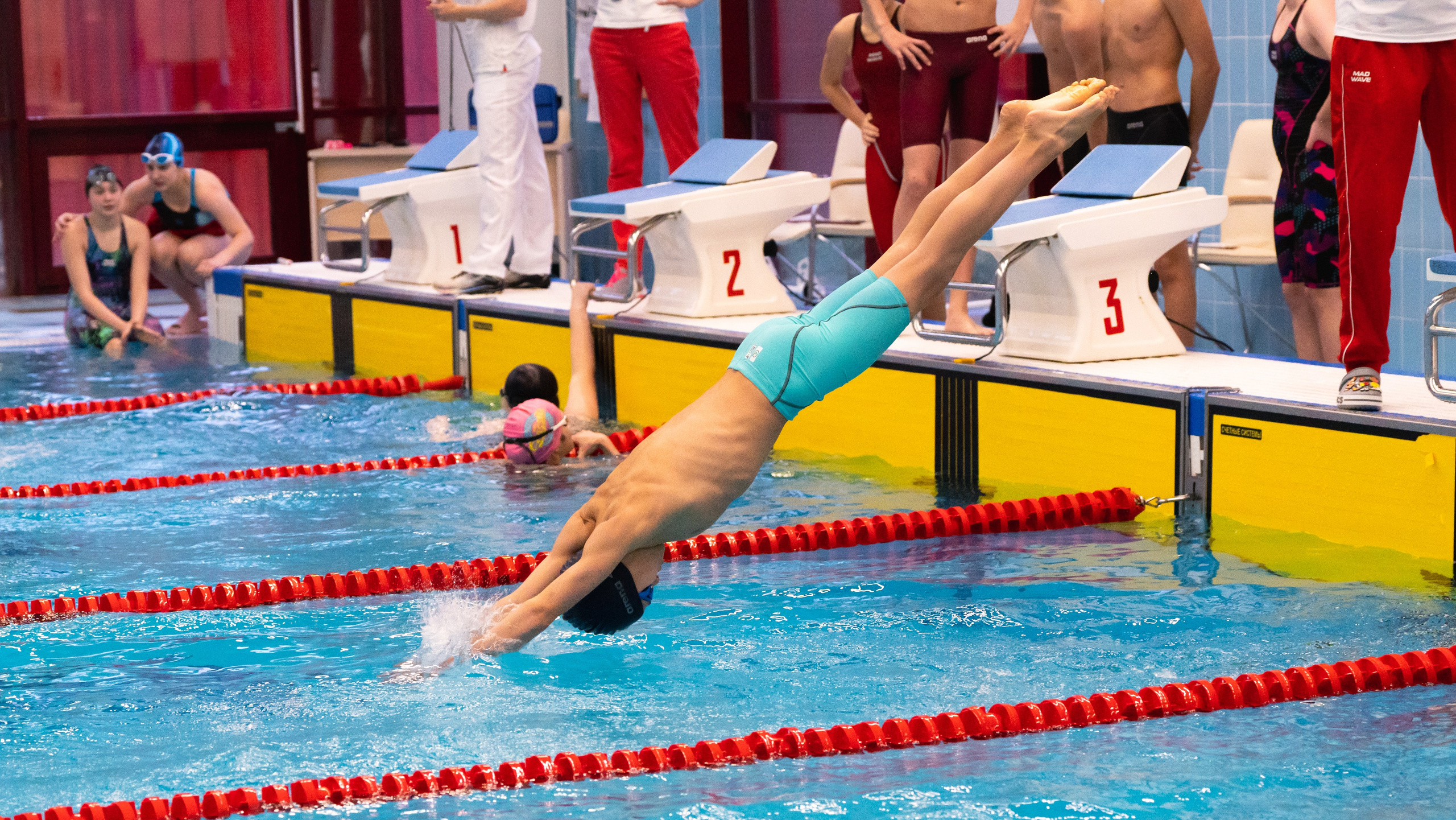 Открытый новогодний турнир по плаванию «Сила воды», 2025. Фотограф и видеооператор Екатерина Гнатюк