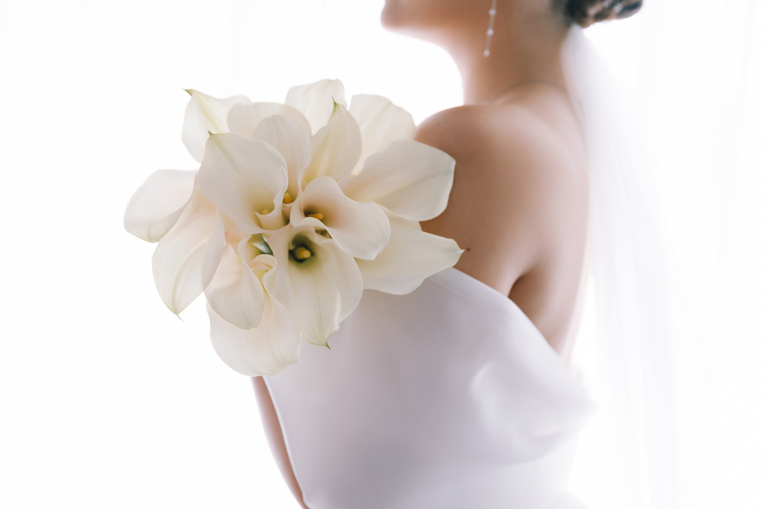 Бабочки. Фотограф Елена Краснопевцева