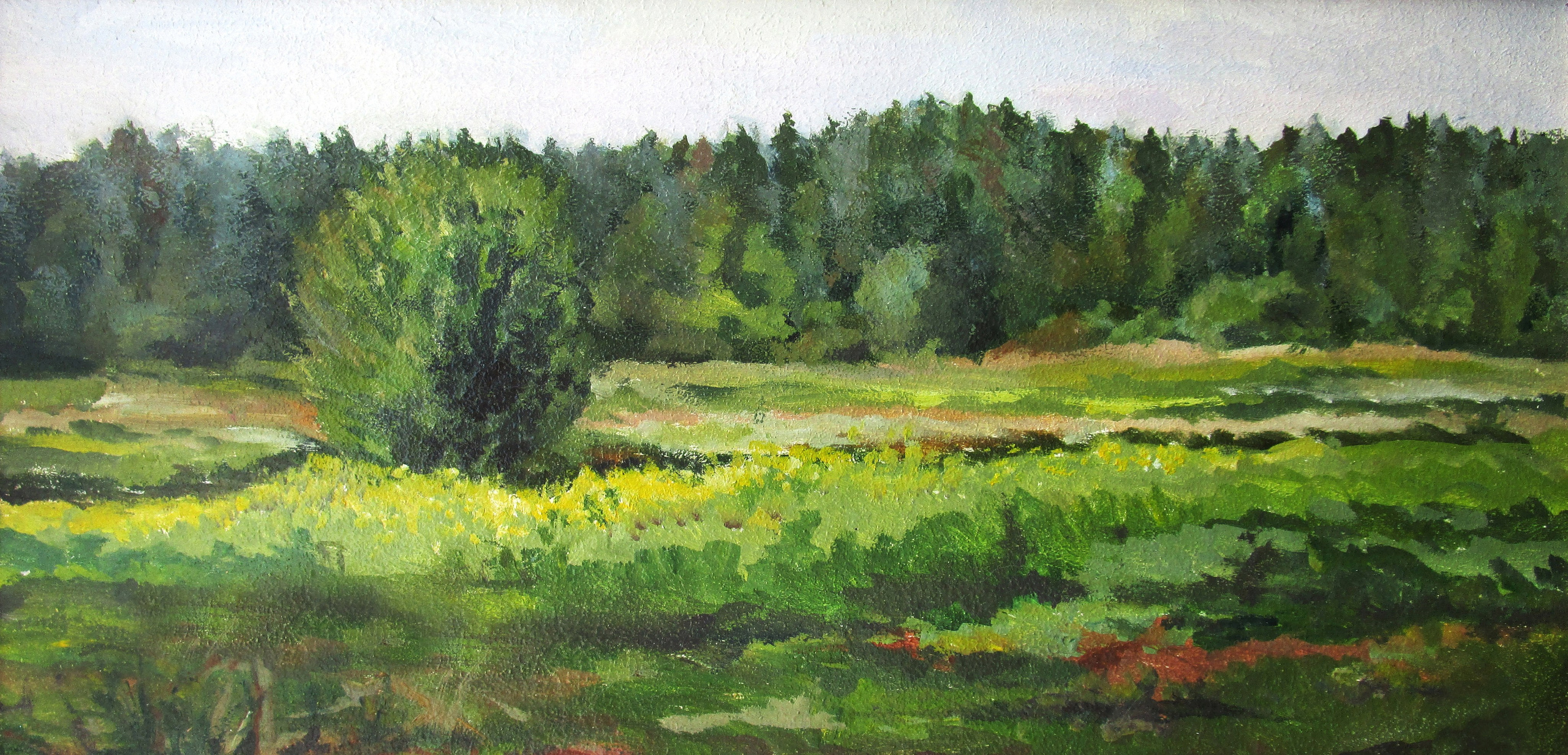 Куст в поле, Подмосковье; холст / масло, 2013