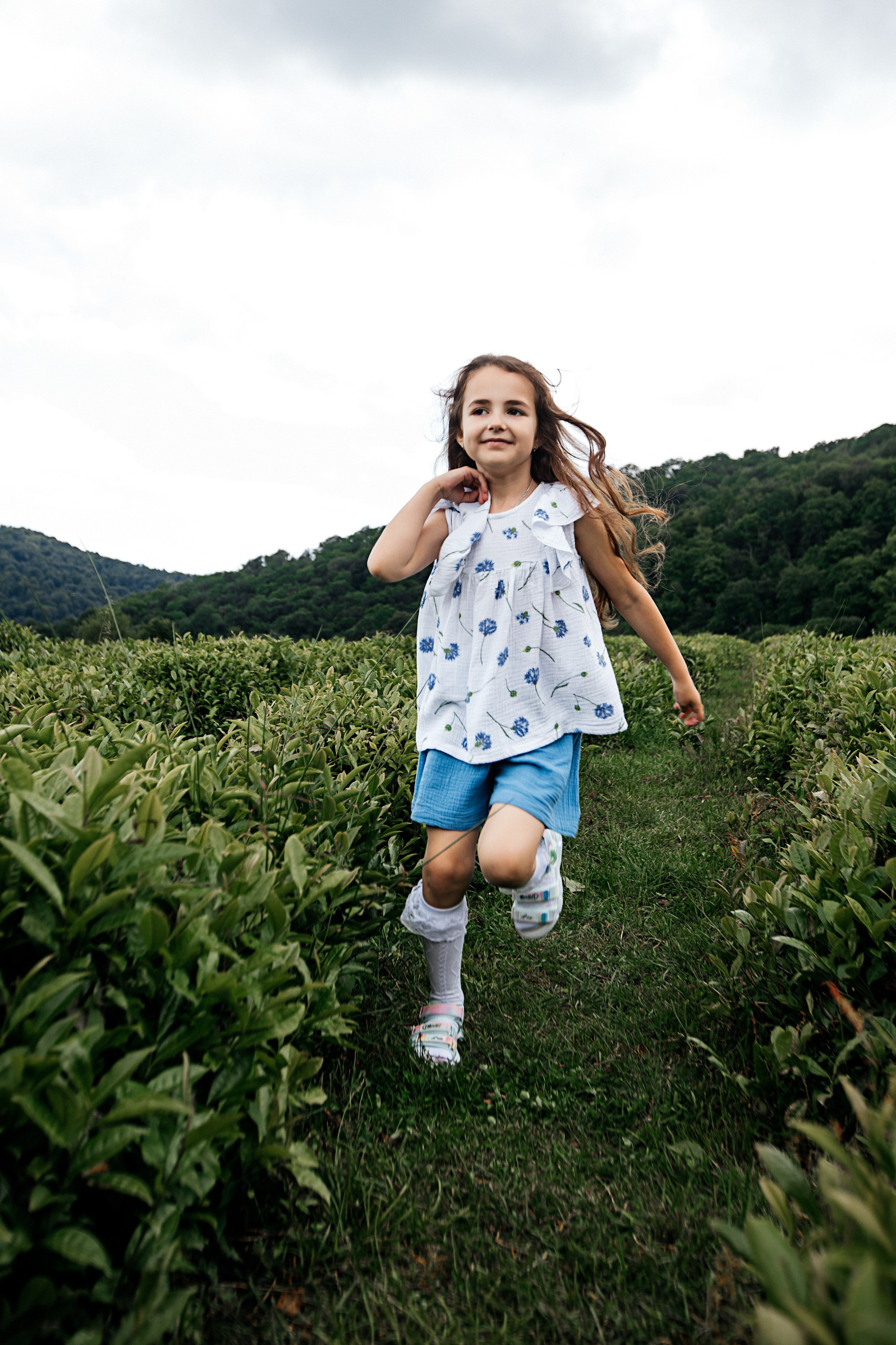 Tea plantation. Efimova Model Agency