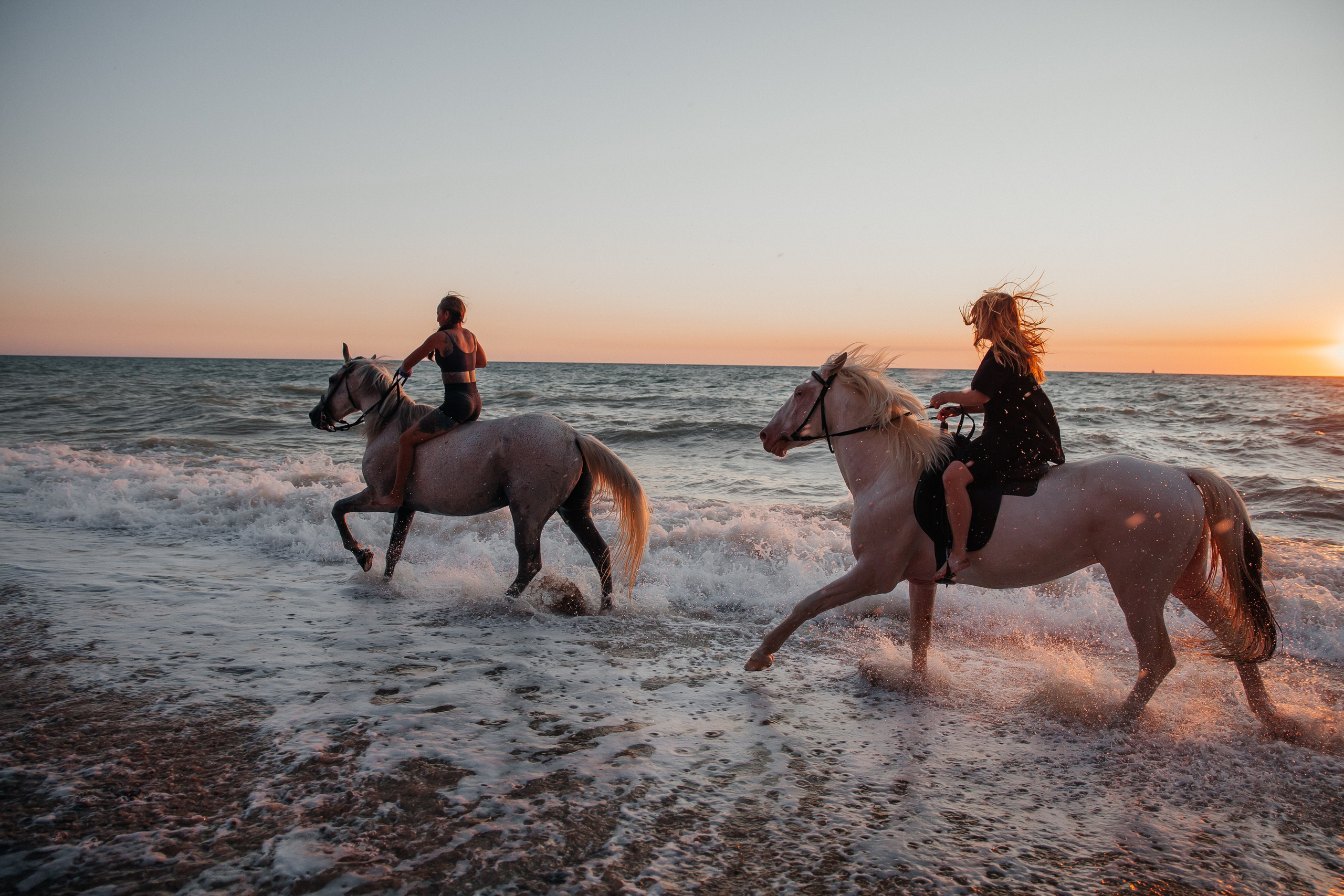 Съемки с лошадьми. Фотограф Крым, Севастополь