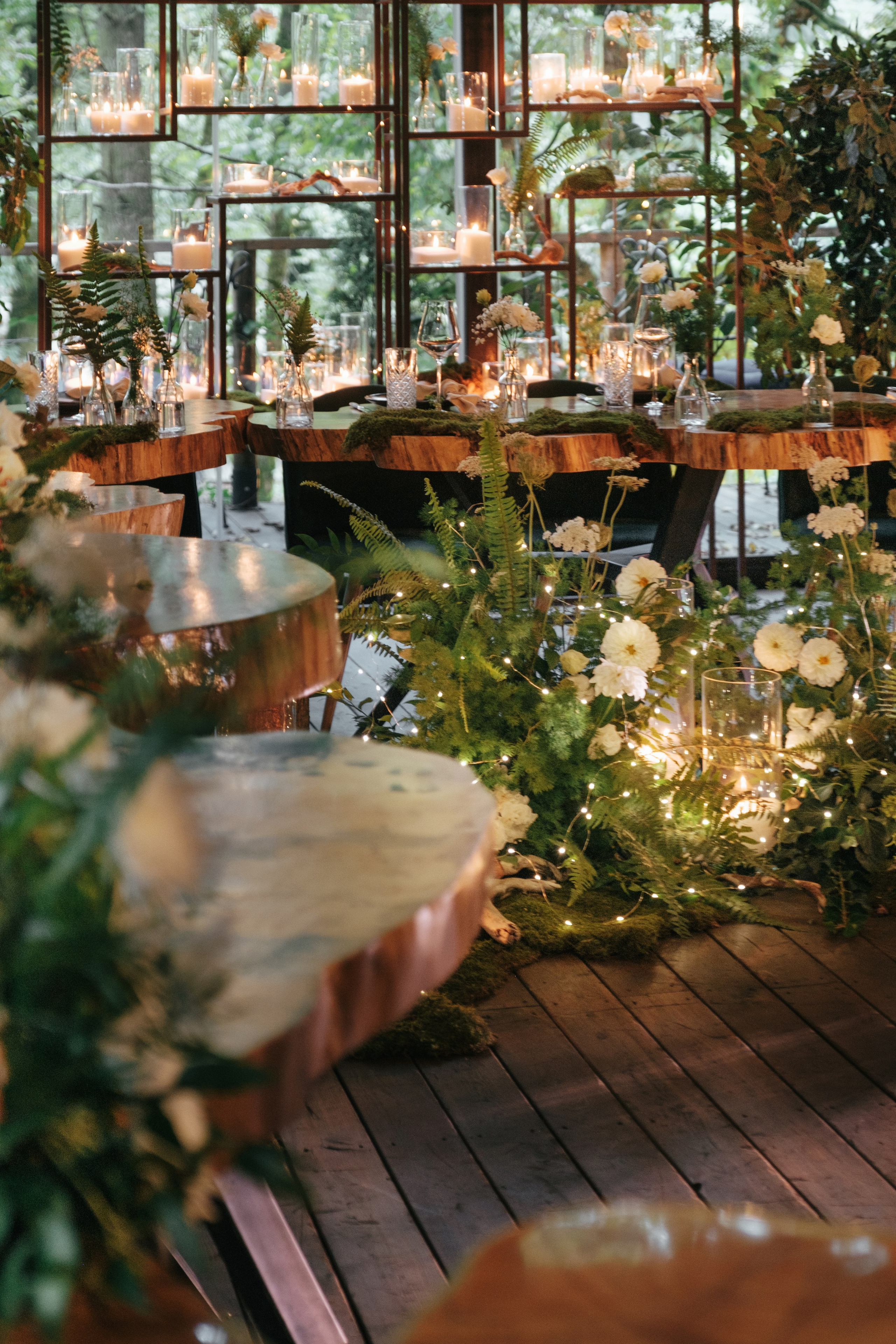 Кот и Дракон. Свадебный Видеограф Фотограф в Сочи