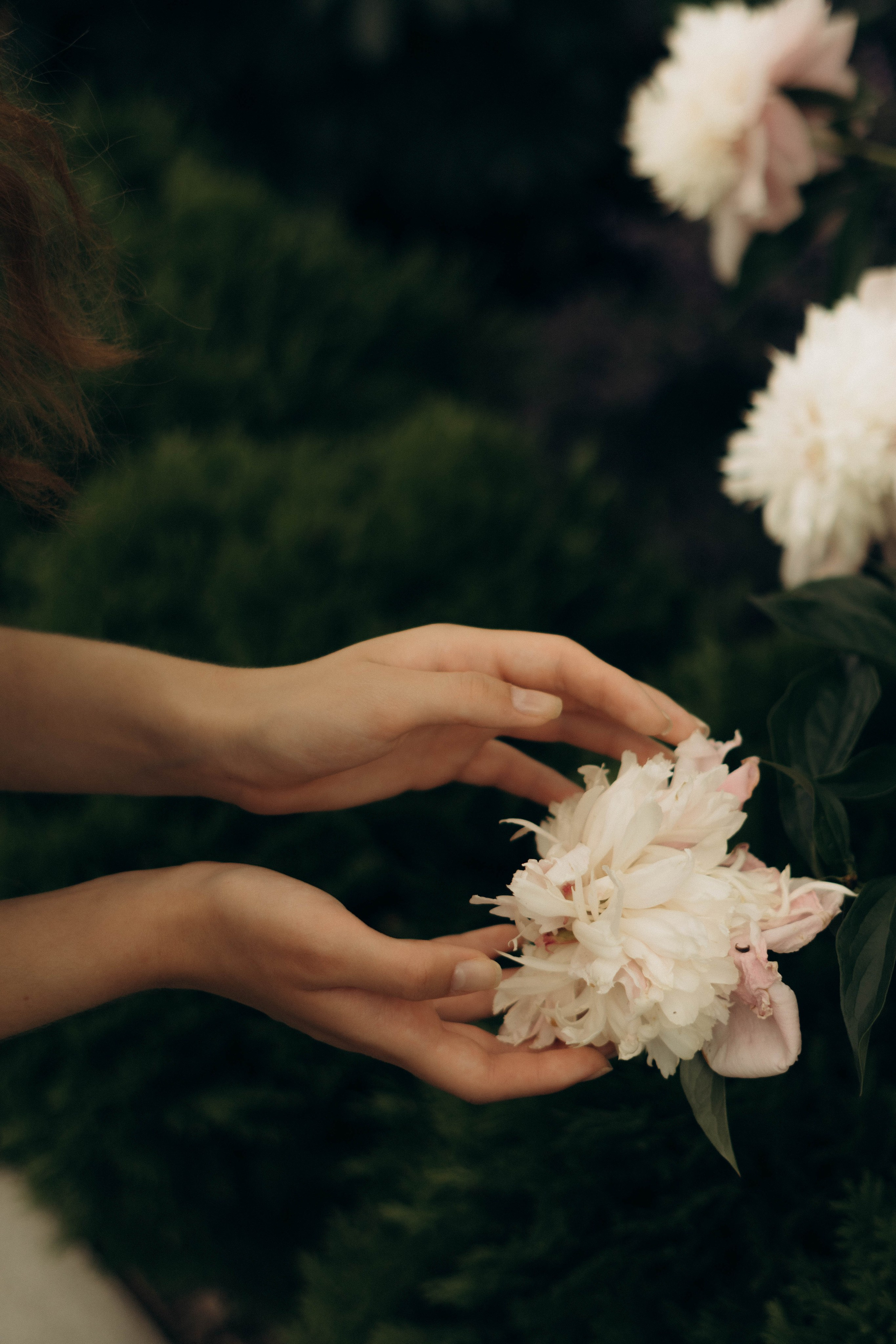 Анна. Портретный фотограф Дарья Бахматова | Нижний Новгород