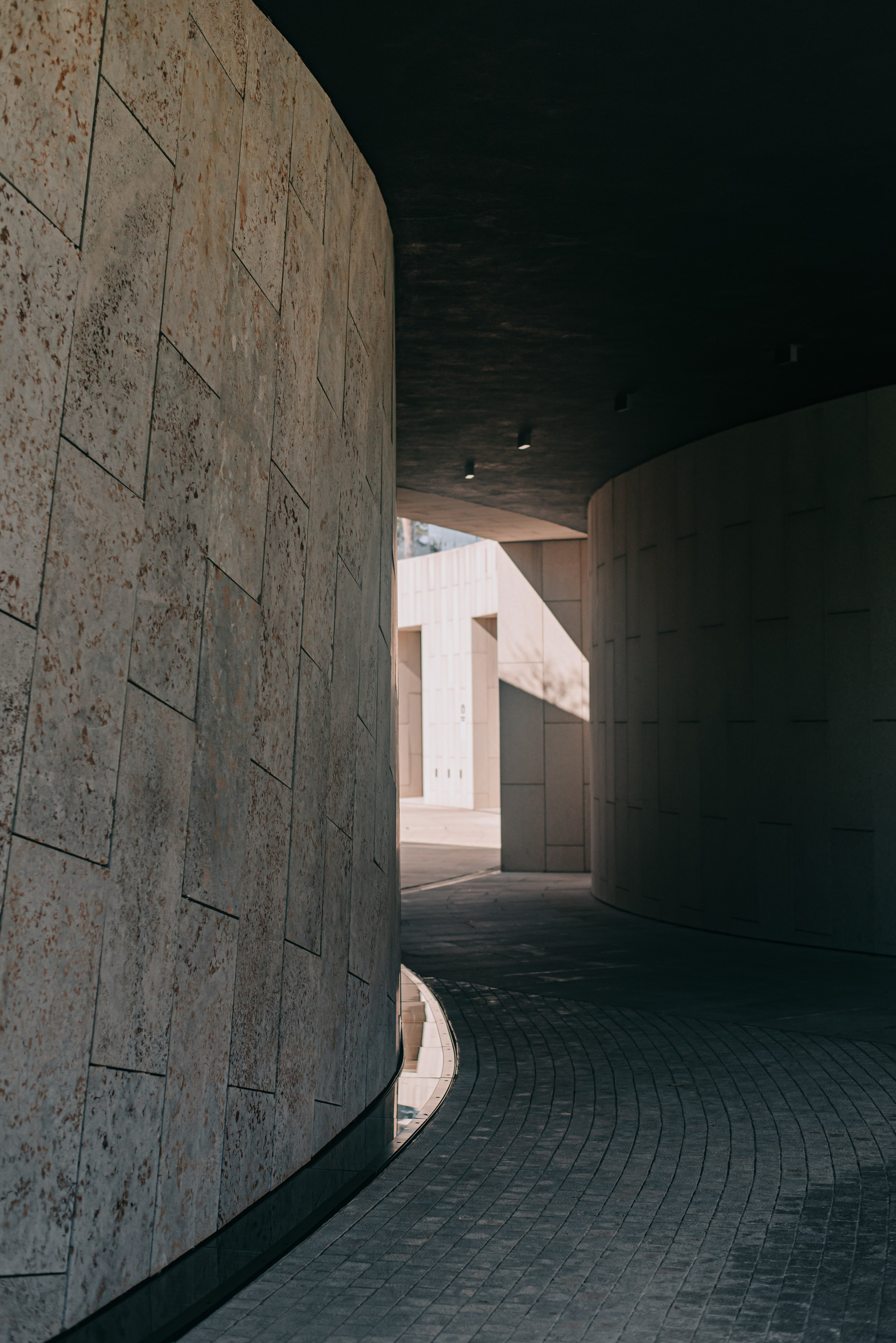 Оля. Фотограф в Краснодаре Зеленкина Дарья