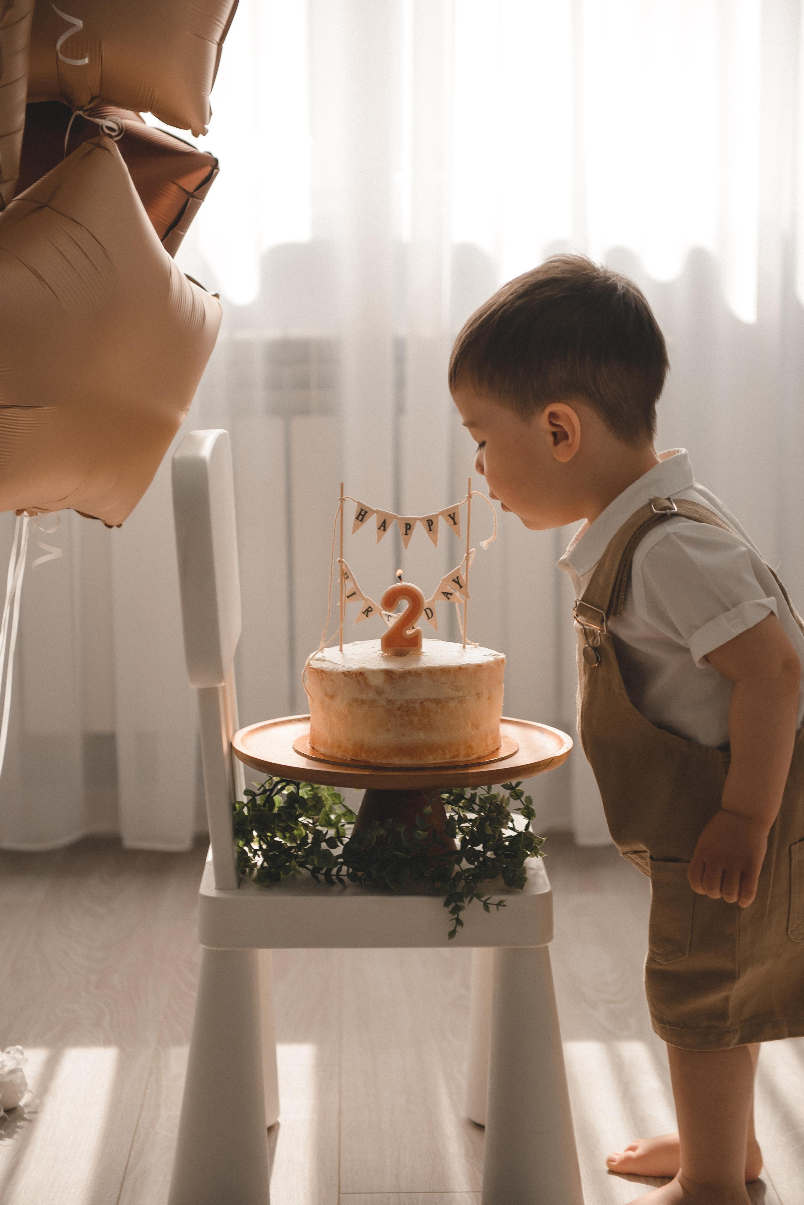 День рождения Амира — 2 годика. Семейный фотограф в г. Ставрополь, Сорокина Мария