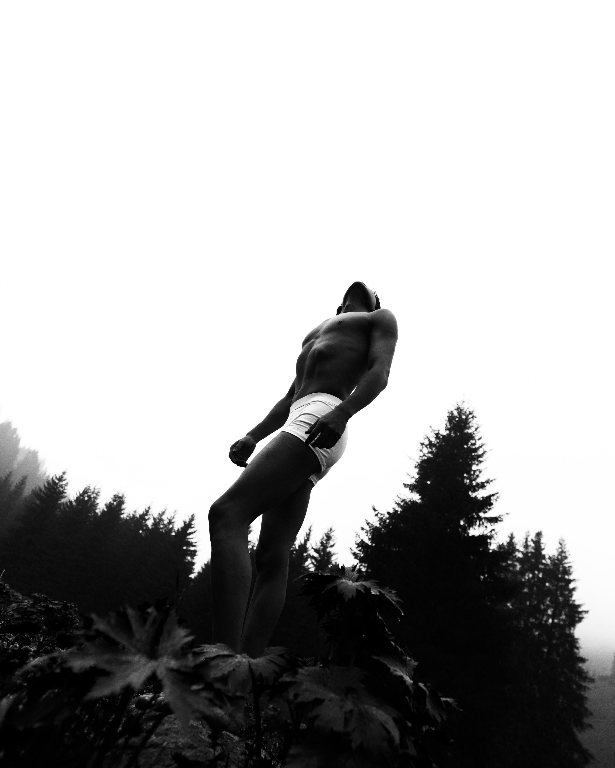 Alpamys / Art project / Sony Kz