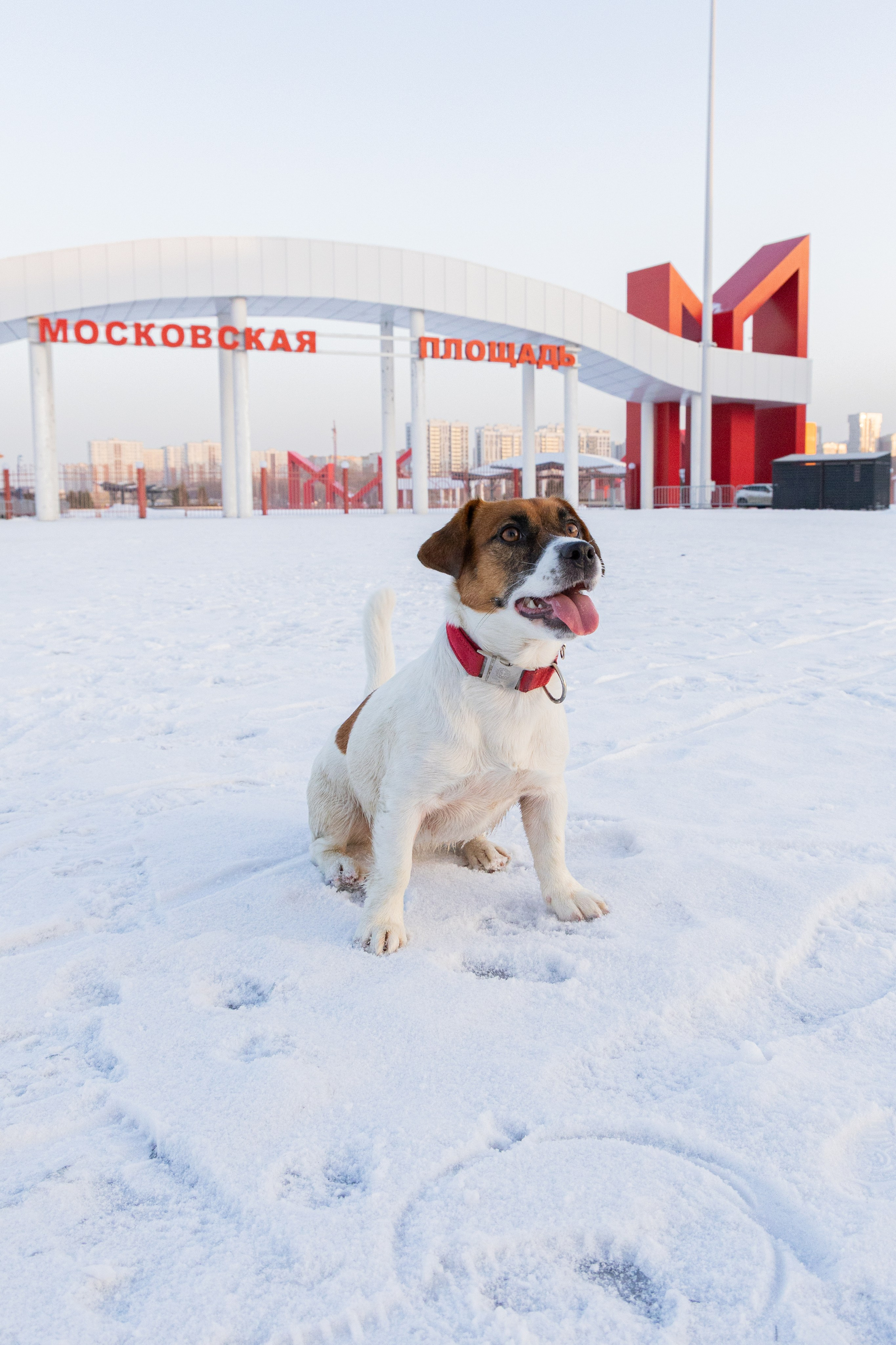 Фотосъёмка животных. Профессиональная коммерческая, промышленная и репортажная фотосъёмка для бизнеса