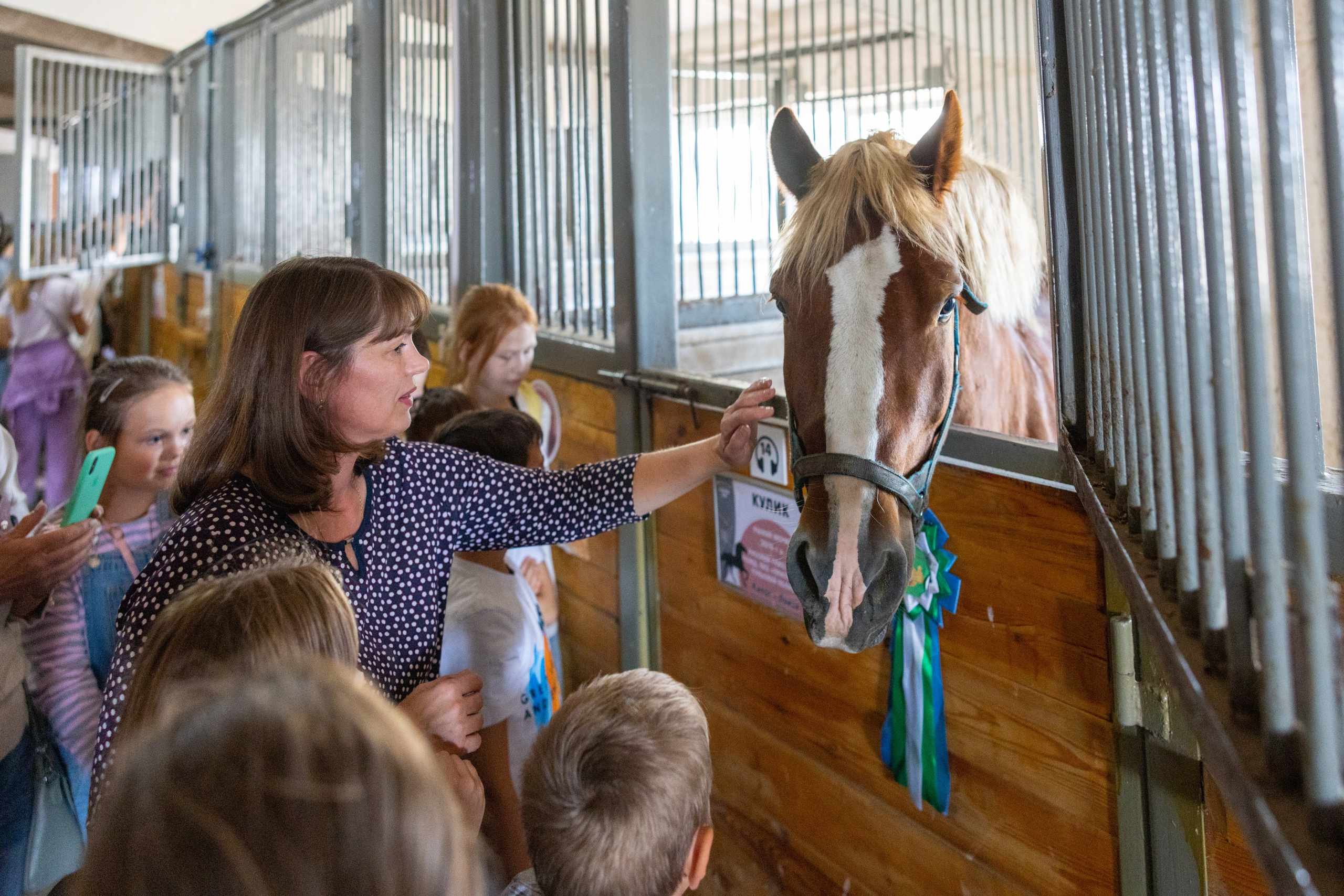 Поездка на поле Кулеково. Фотограф в Туле Крупский АнДРей. Фотостудия «КАДР71» в Туле