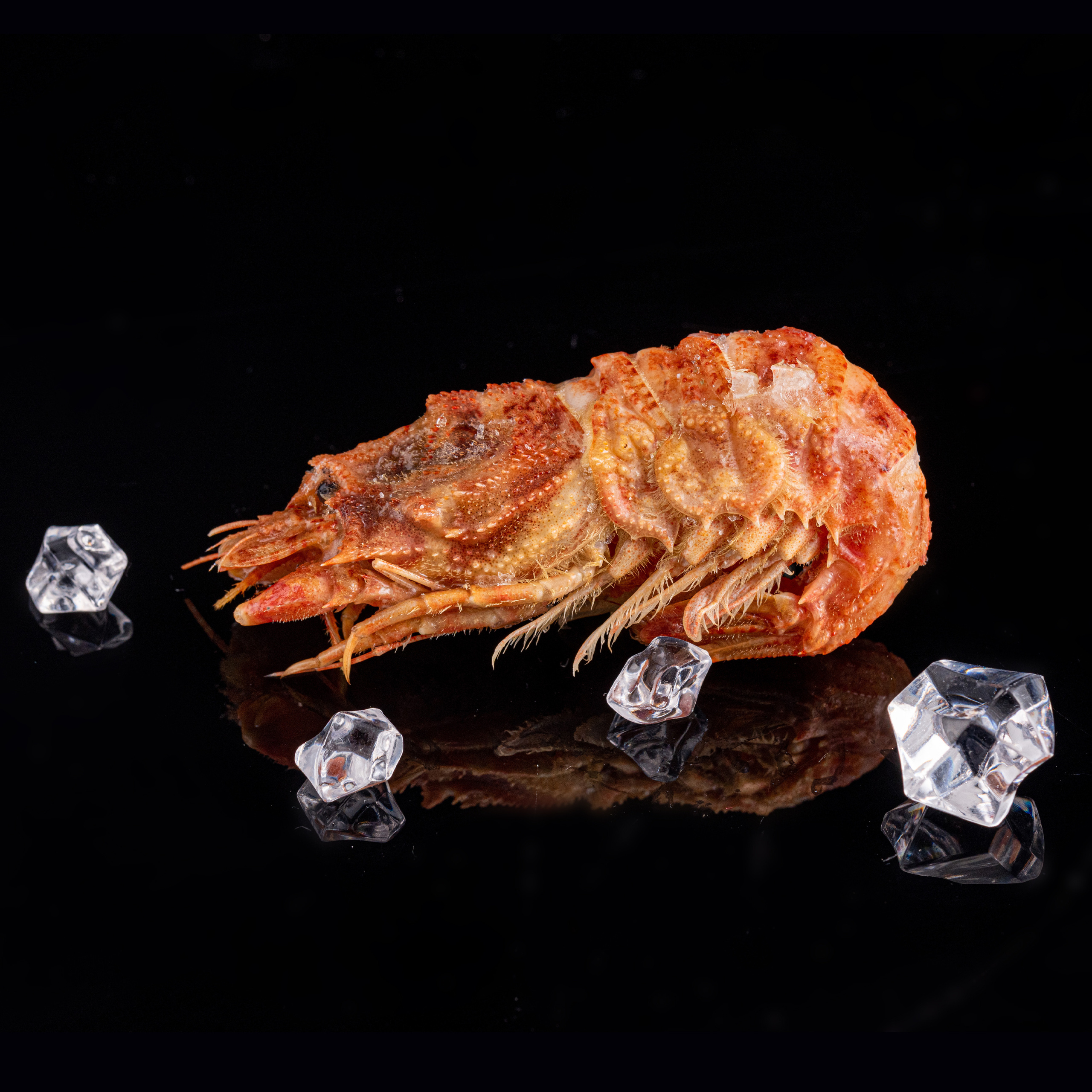 КРЕВЕТКИ. Раптовый Александр Предметный и рекламный фотограф в Москве