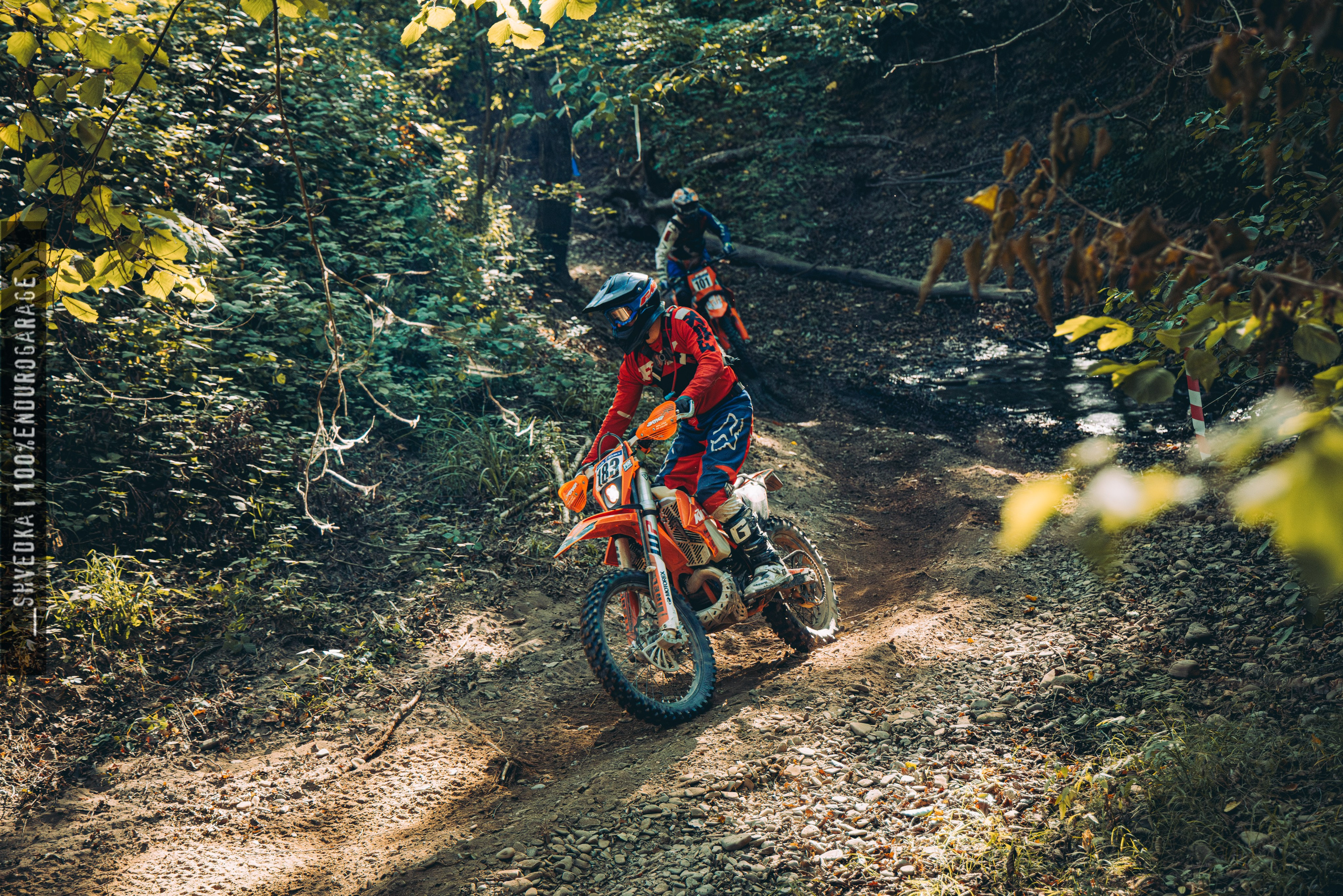 2 лесной день. Ваш экстрим фотограф Кудрева Яна