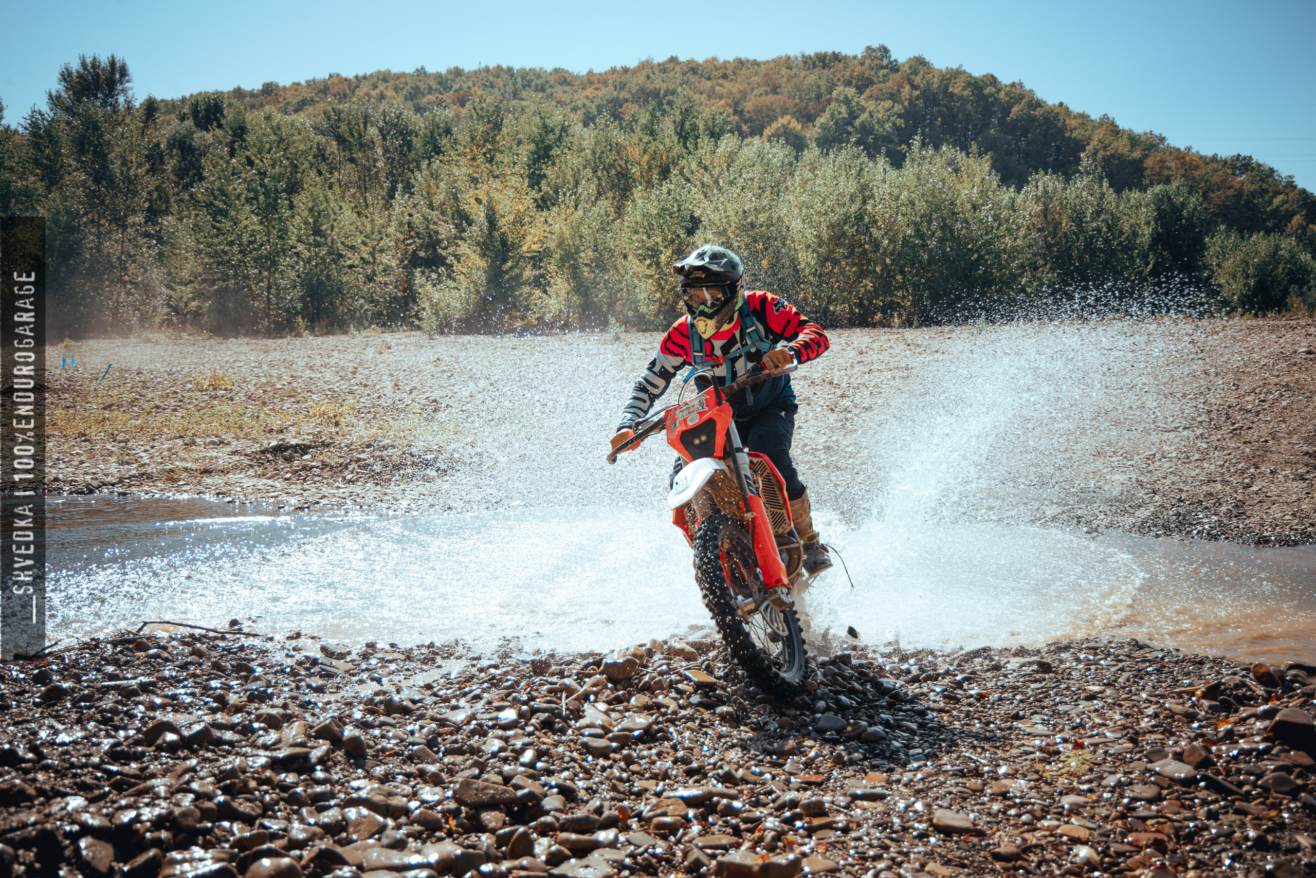 1 лесной день. Ваш экстрим фотограф Кудрева Яна