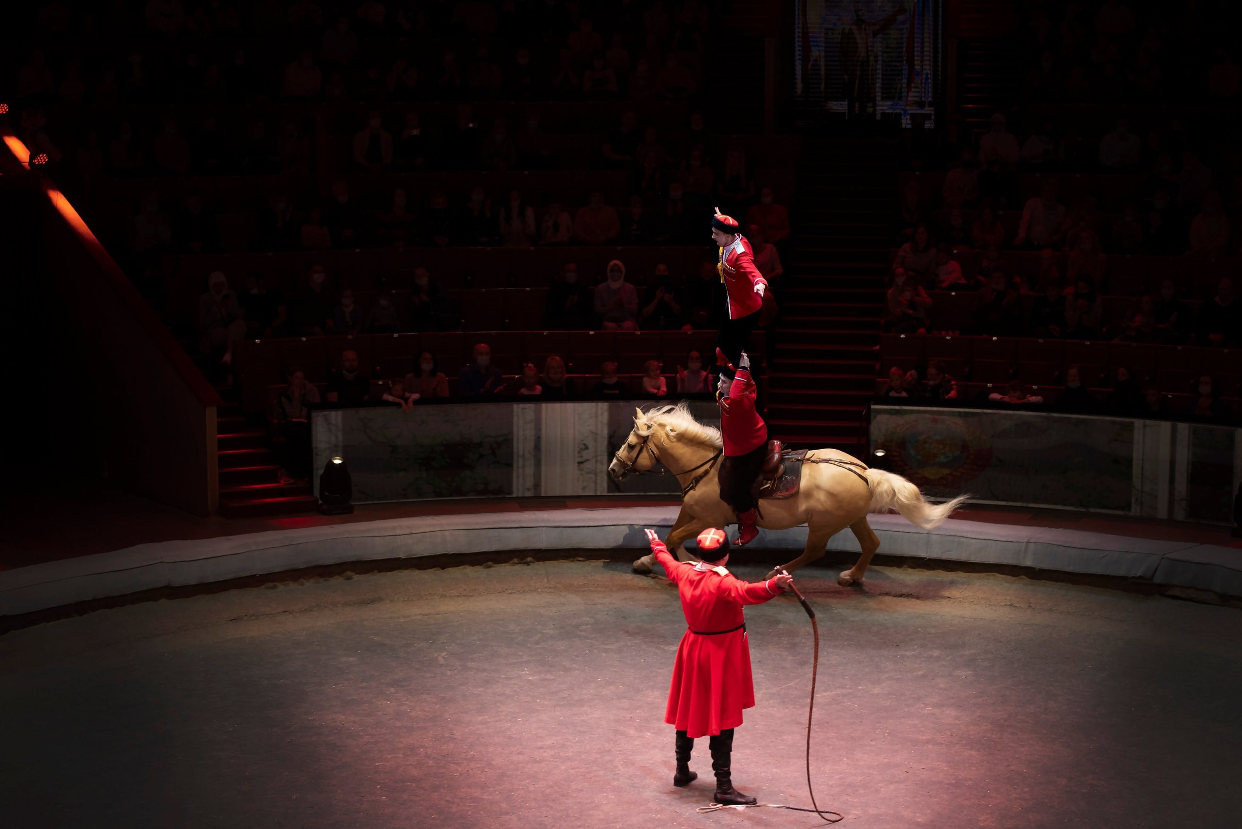 Цирк Запашных — Шоу И100рия. Женский и семейный фотограф в Москве, Железнодорожном Анастасия Кинёва