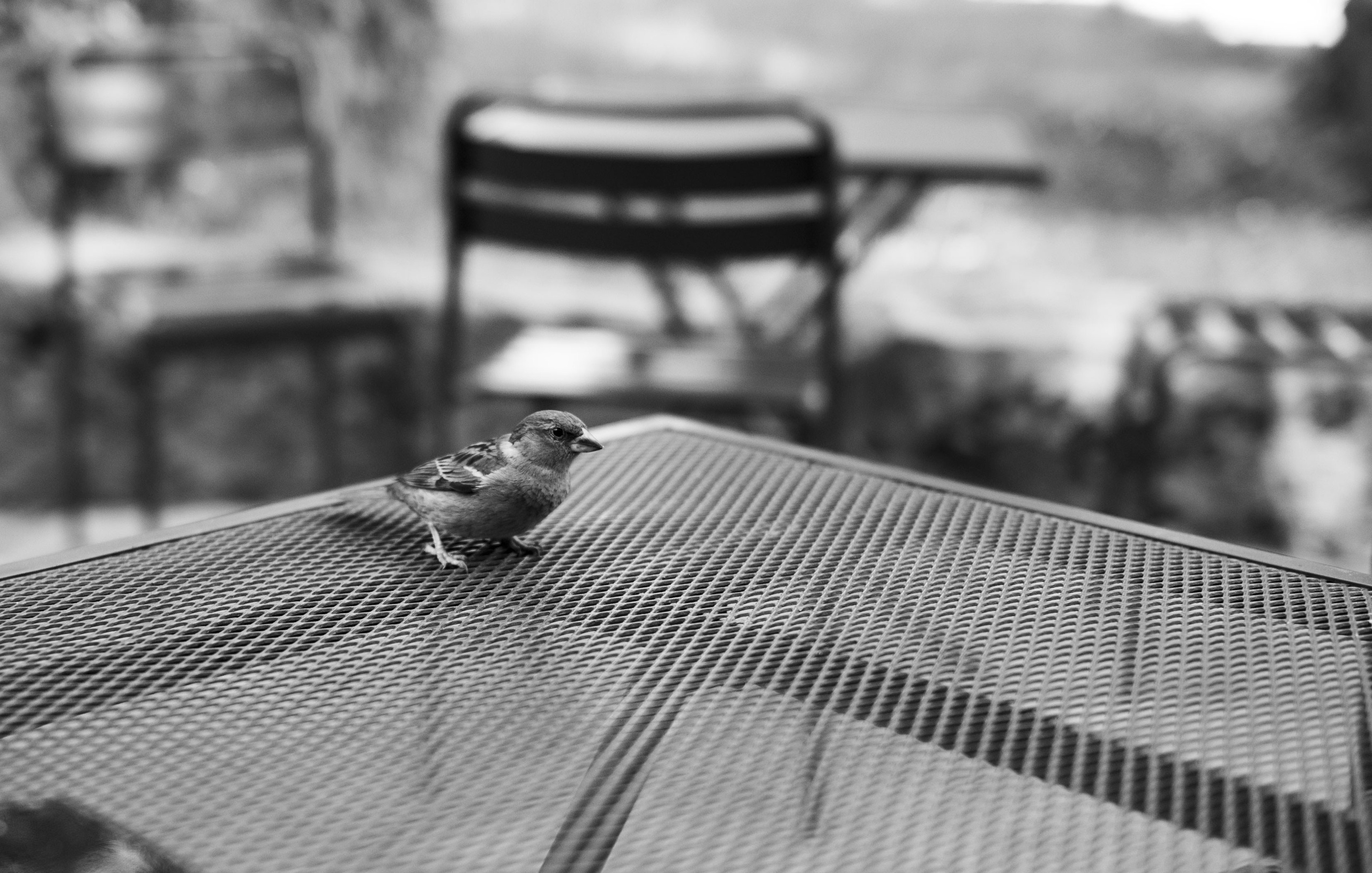 Штормовое предупреждение. May the numbers guide us