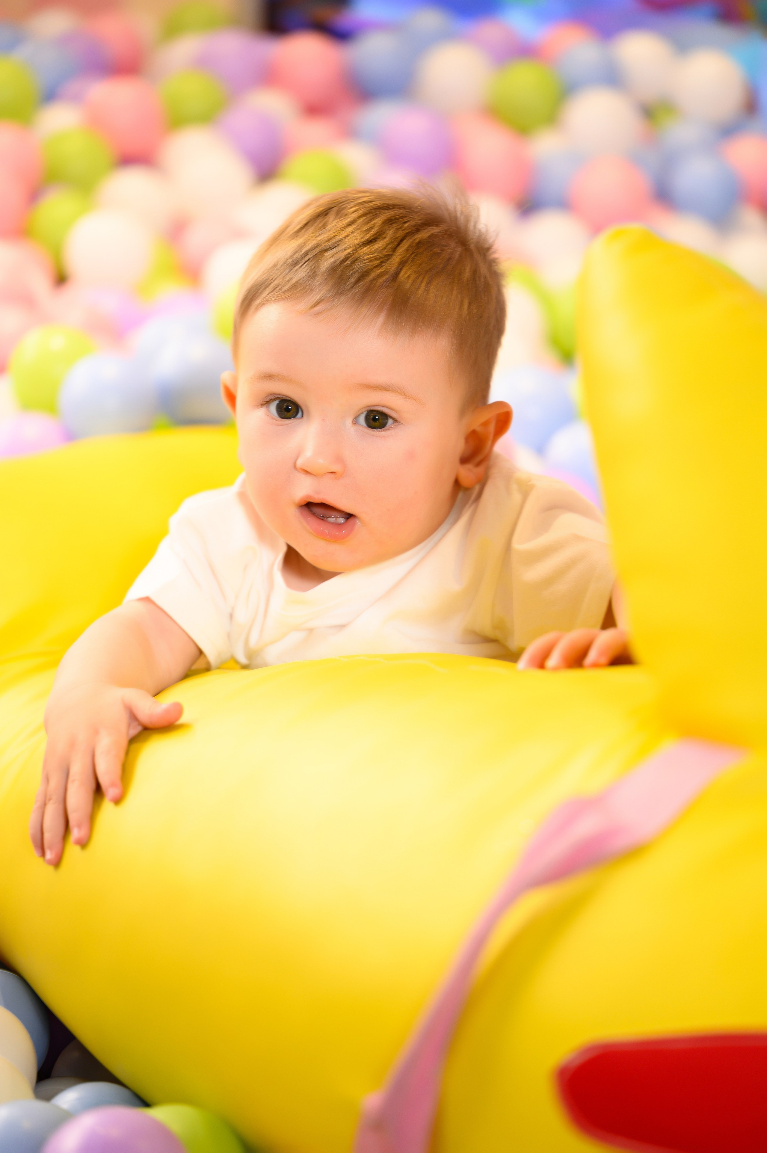 15.05.25. Свадебный и семейный фотограф в Краснодаре