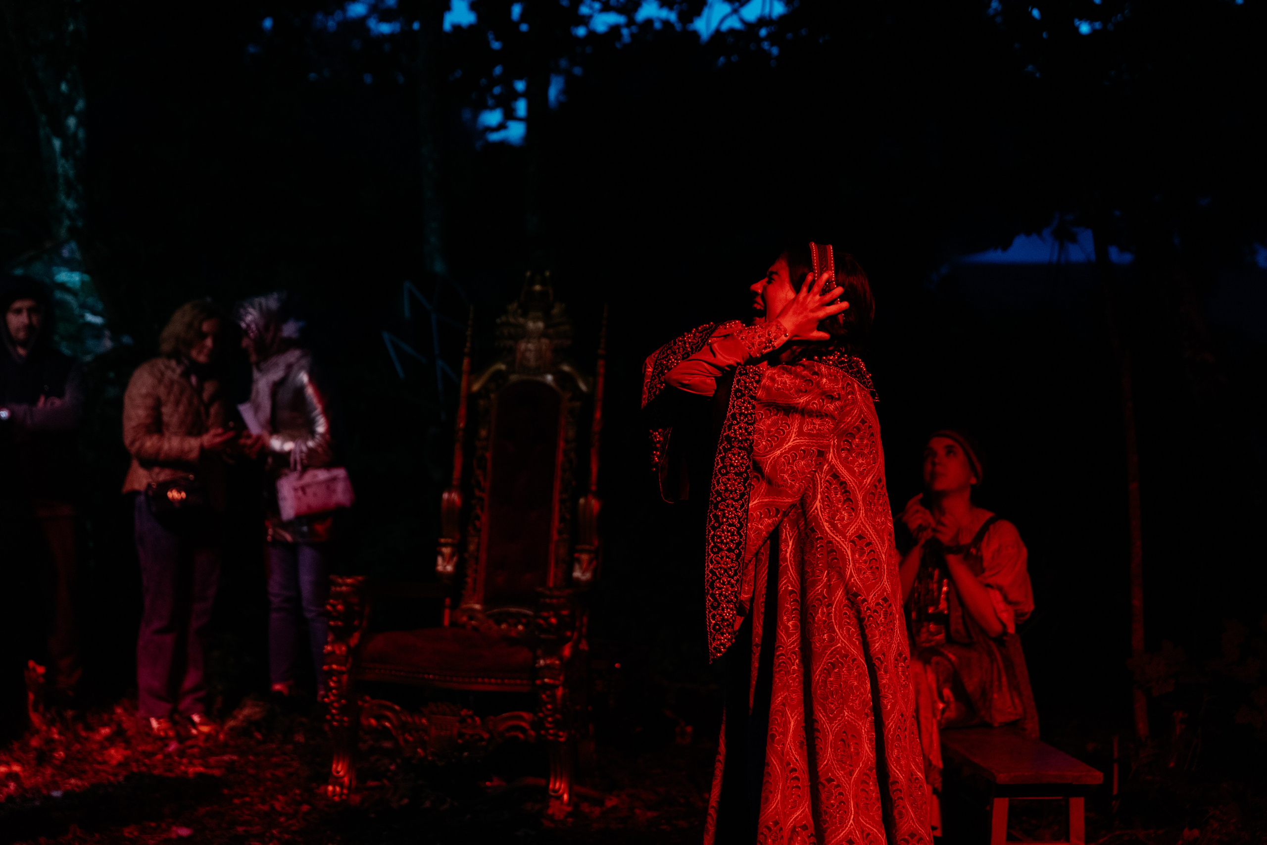 Иммерсивное шоу «Пушкин.Суйда» 2024. Свадебный и репортажный фотограф в Санкт-Петербурге