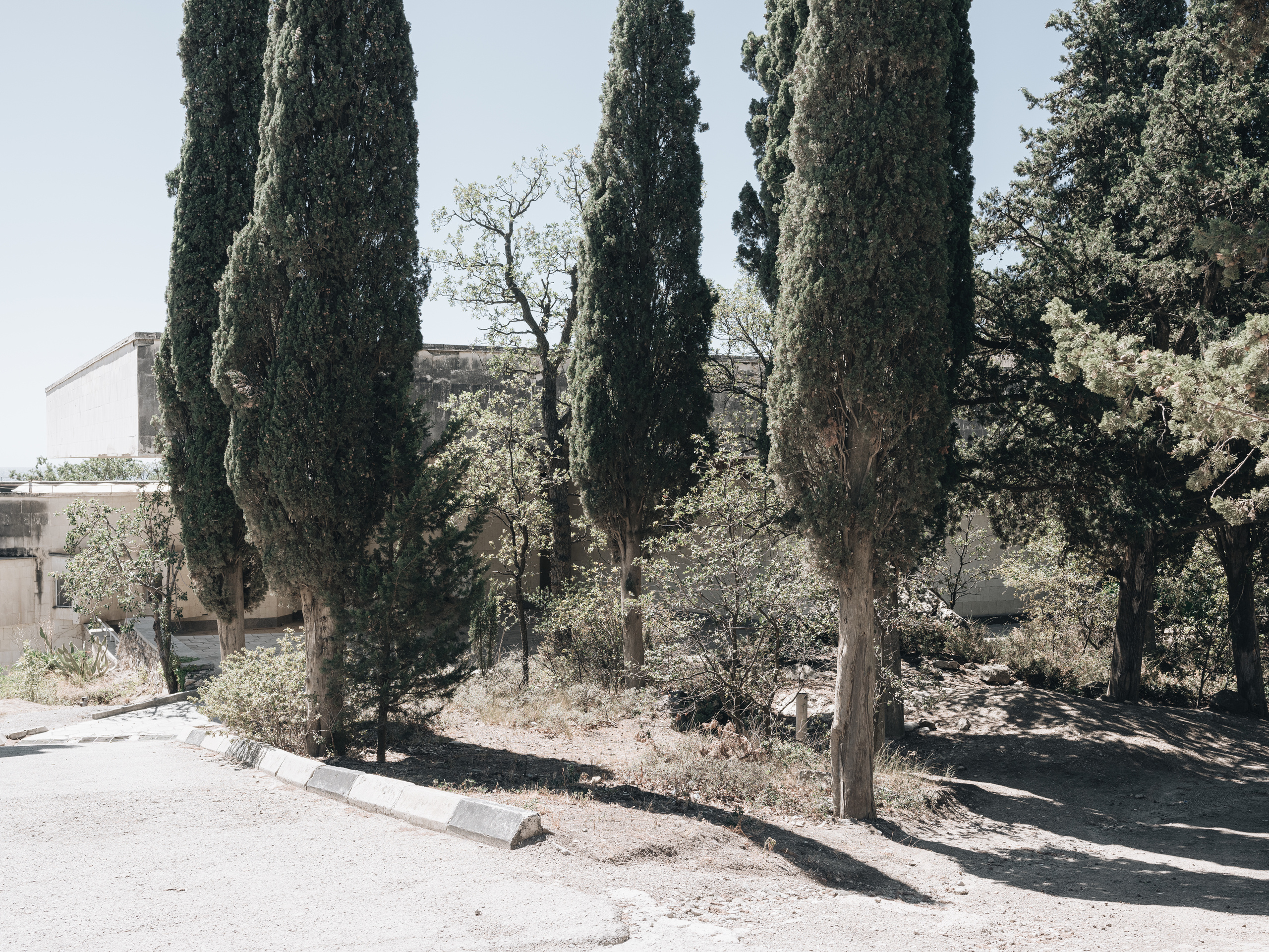 OLimbos. Фотограф Шумков Дмитрий Snm981