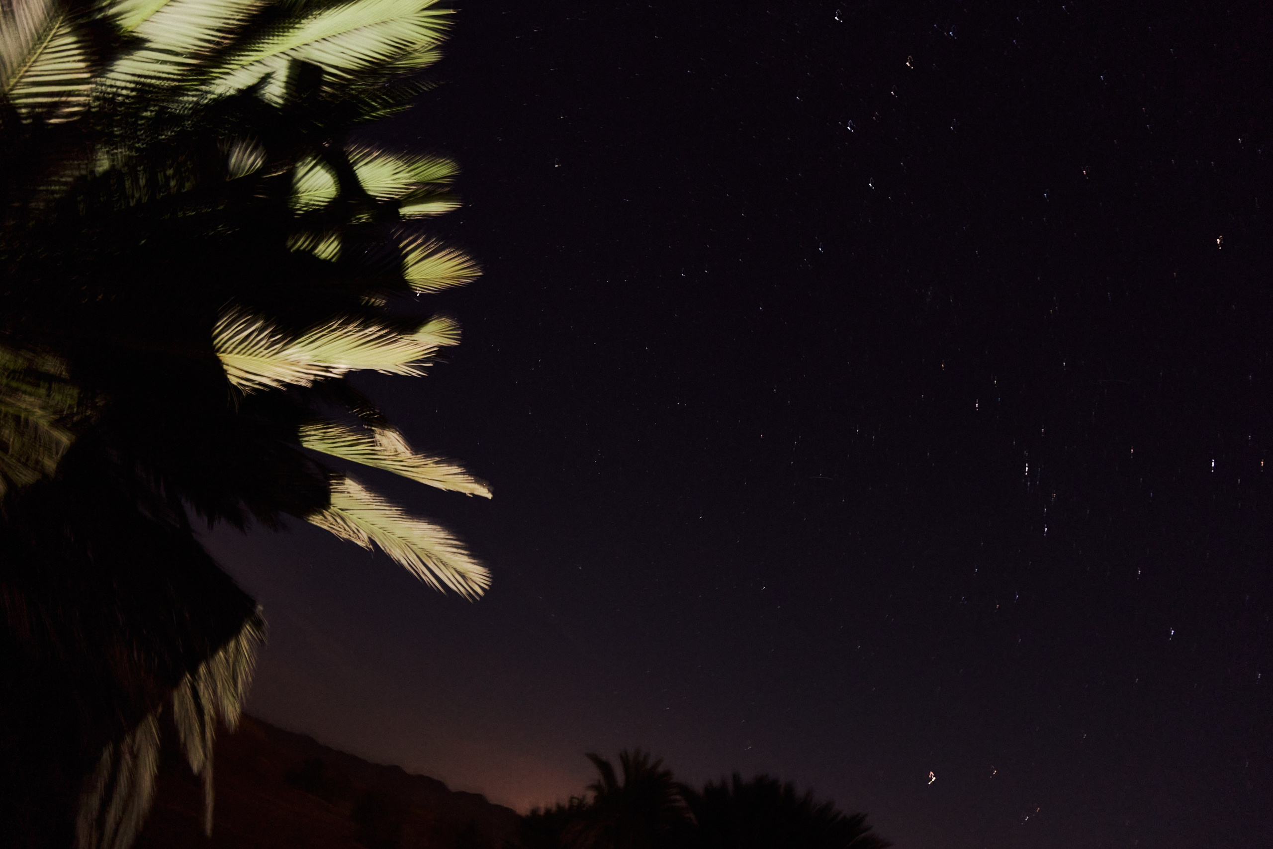 Другое 3. Jorgis — фотограф в Хургаде / обучение фотографии