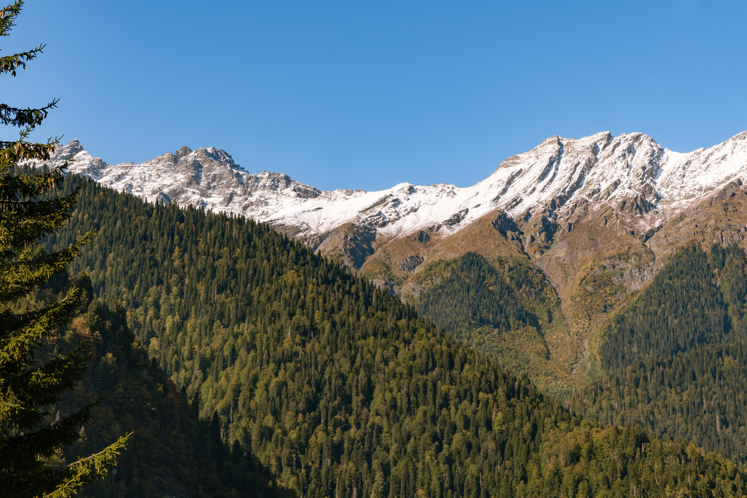 Абхазия. Gusarov Travel Photography