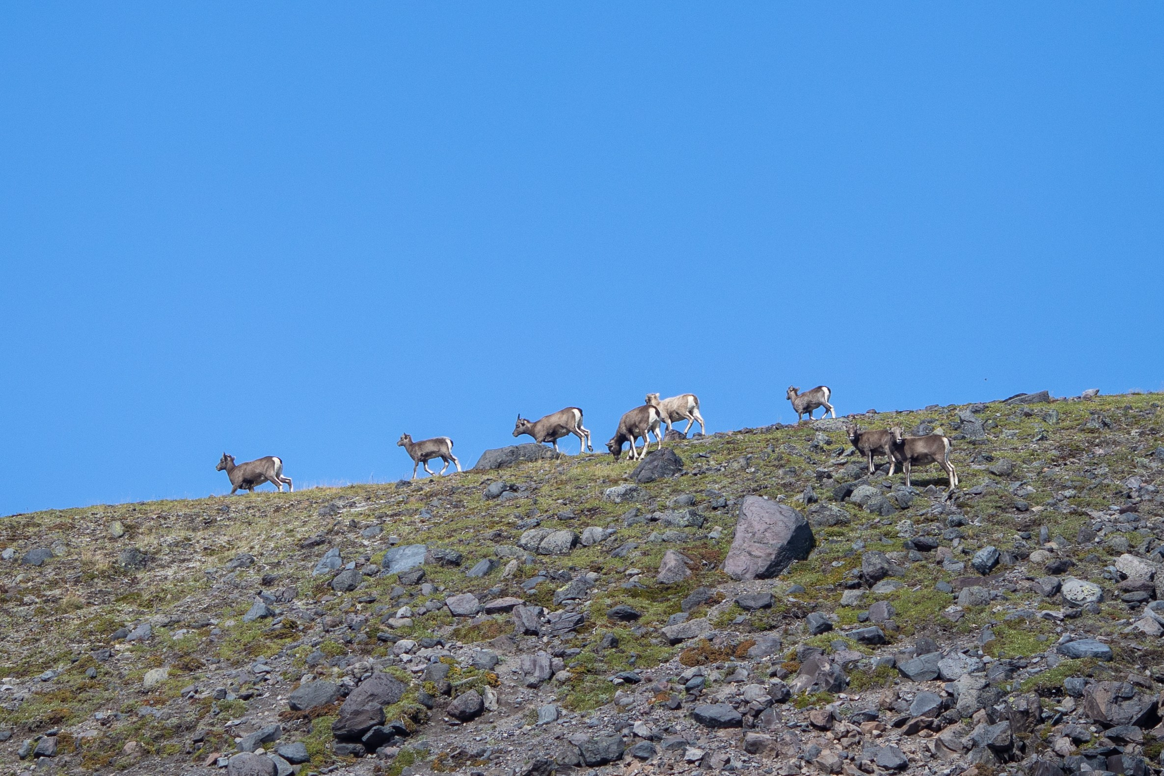 Камчатка. Тревел-фотограф Олег Гуров
