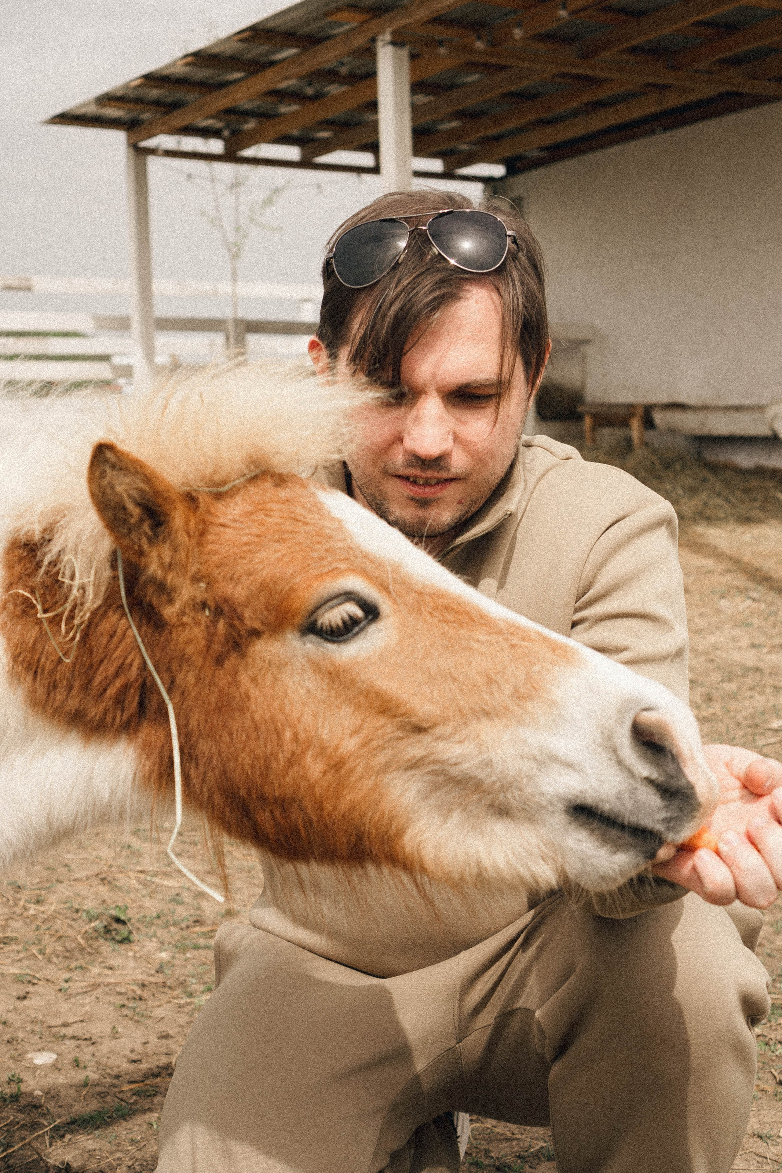 Ферма Альпак. Профессиональный фотограф, Санкт-Петербург — Виктория Богомолова