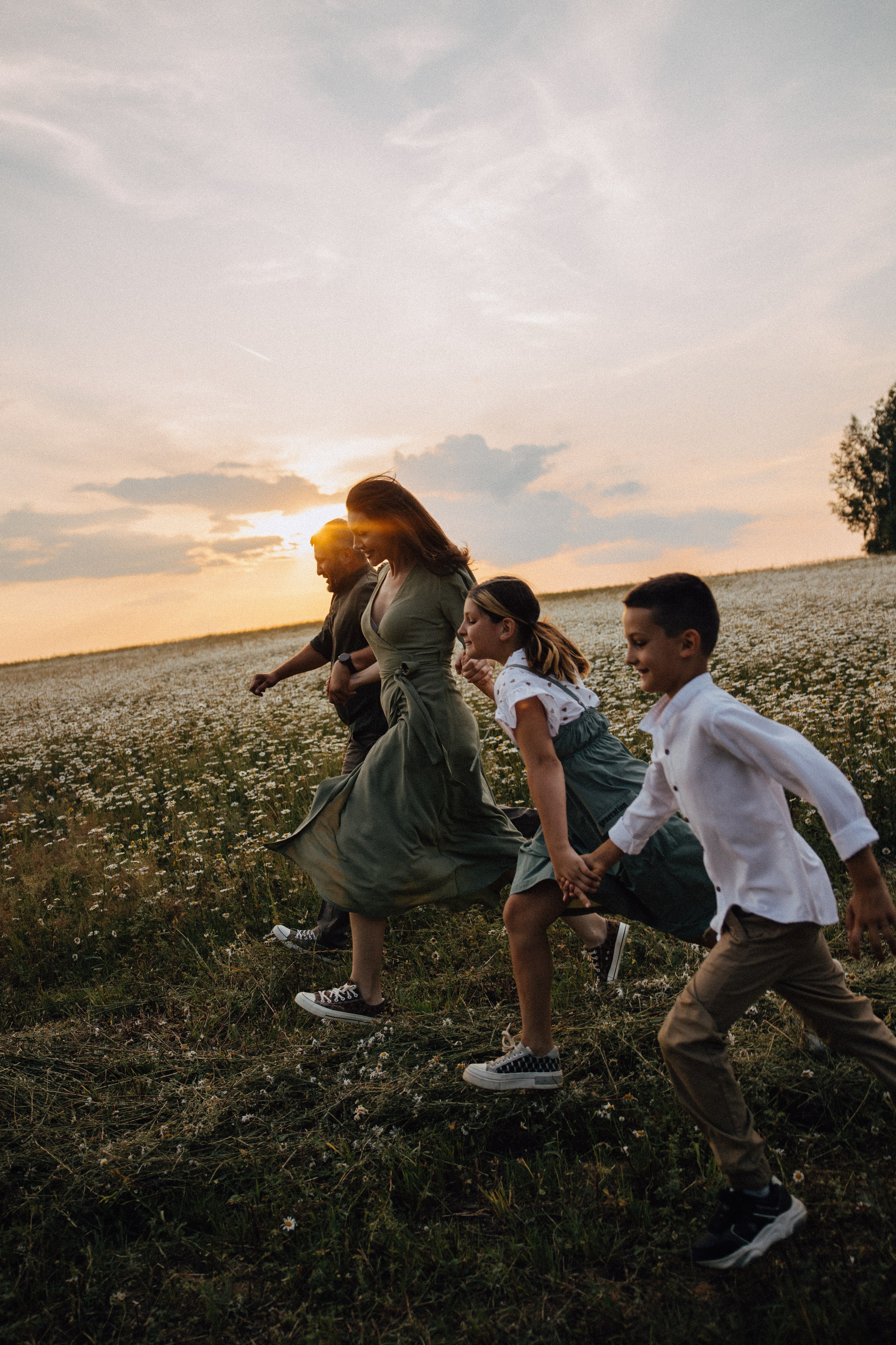 Ромашковое поле. Семейный и свадебный фотограф в Москве Вероника Жибинова