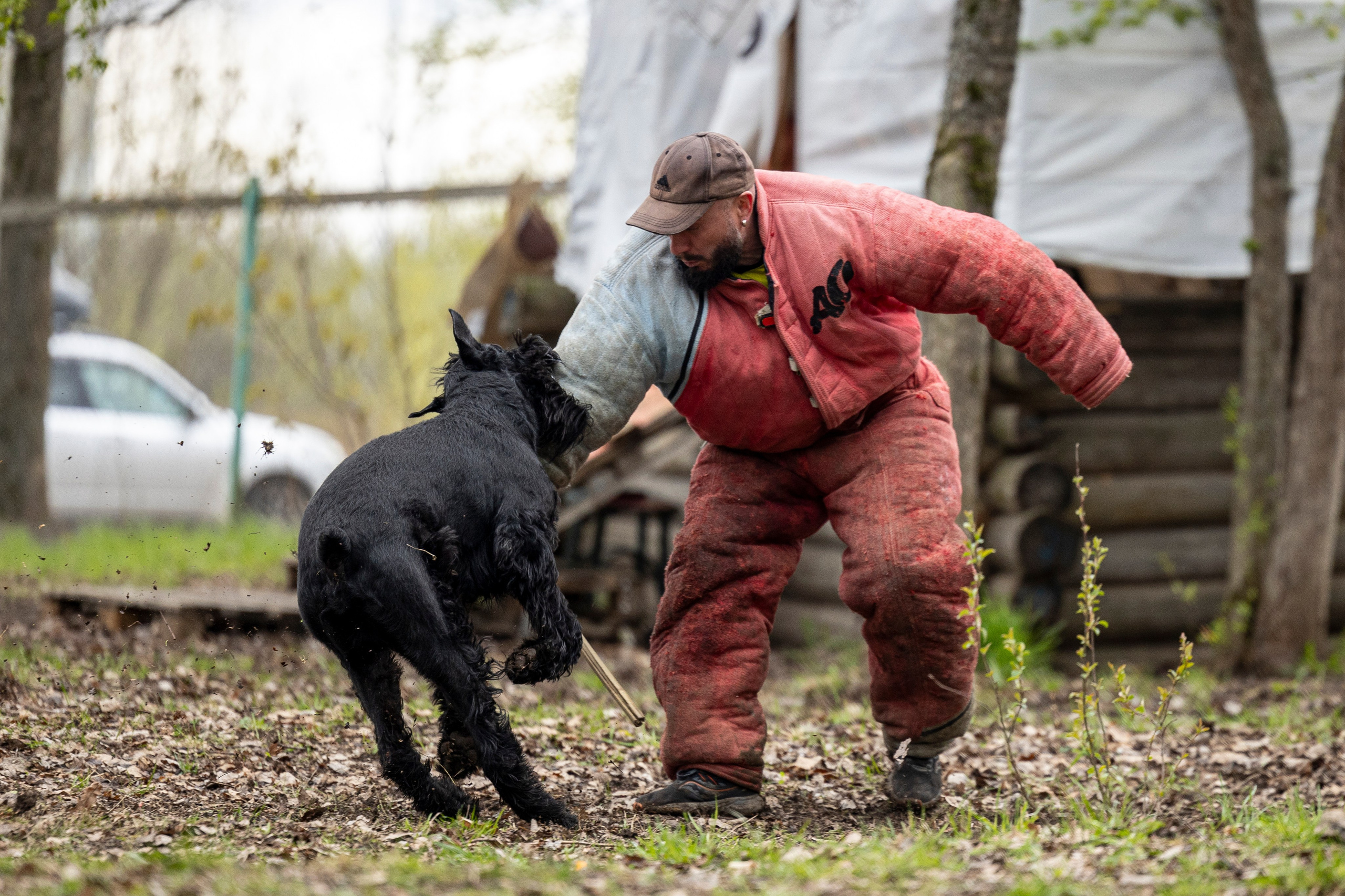 Квалификационные состязания по мондьорингу г. Вологда 11.05.24. Фотограф-анималист Анна Маринич