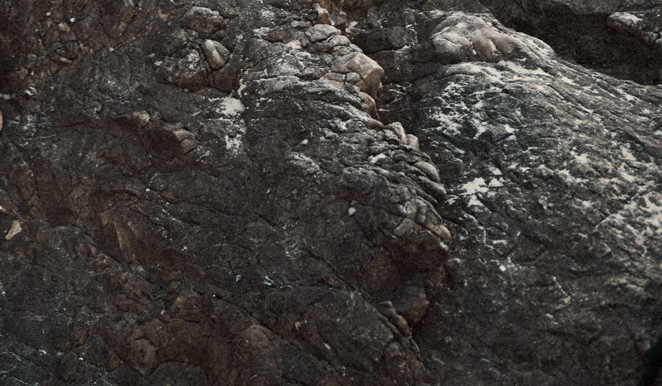 Anastasia. Свадебный фотограф Юлия Гусева