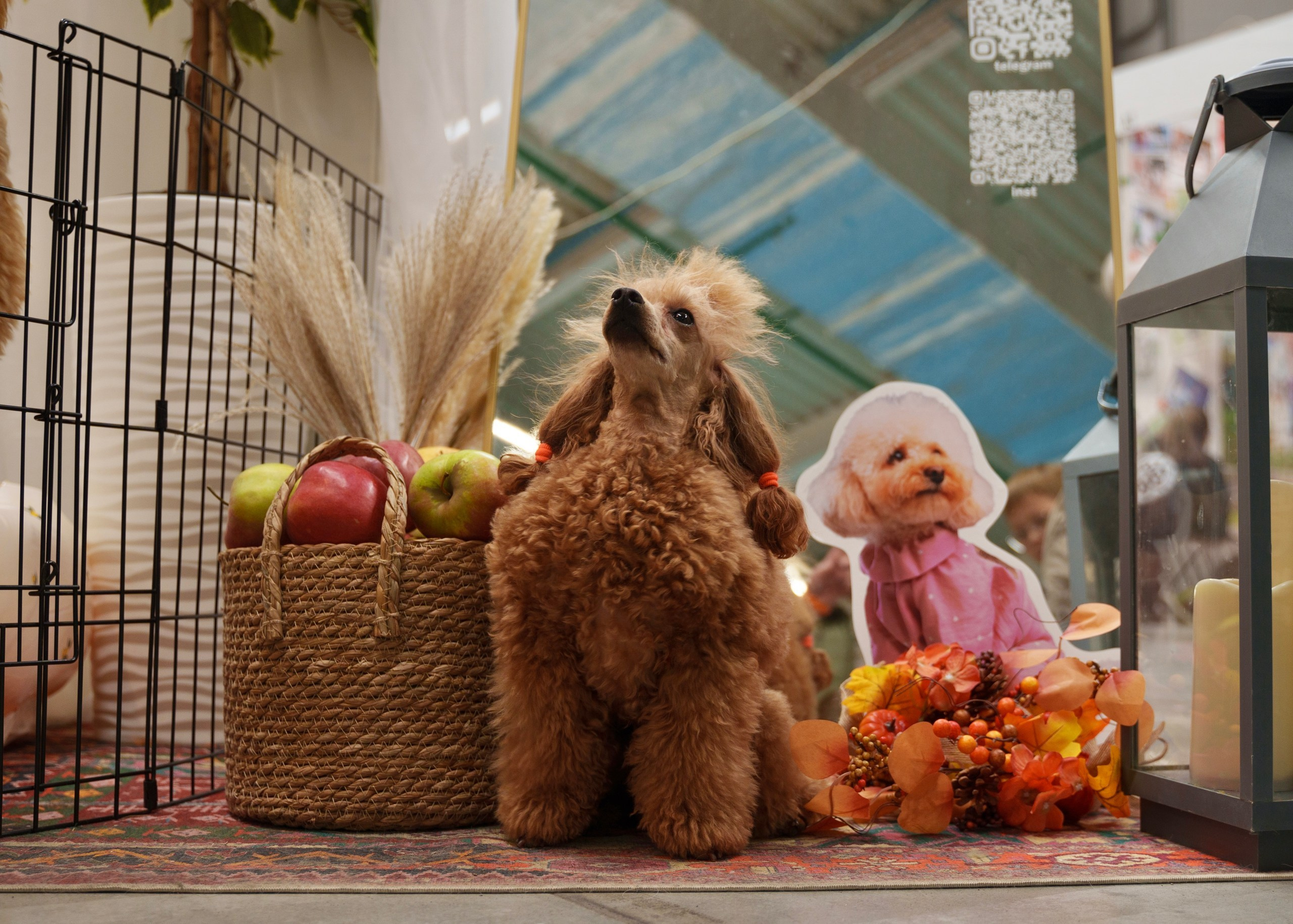 Репортажная съемка. Главная