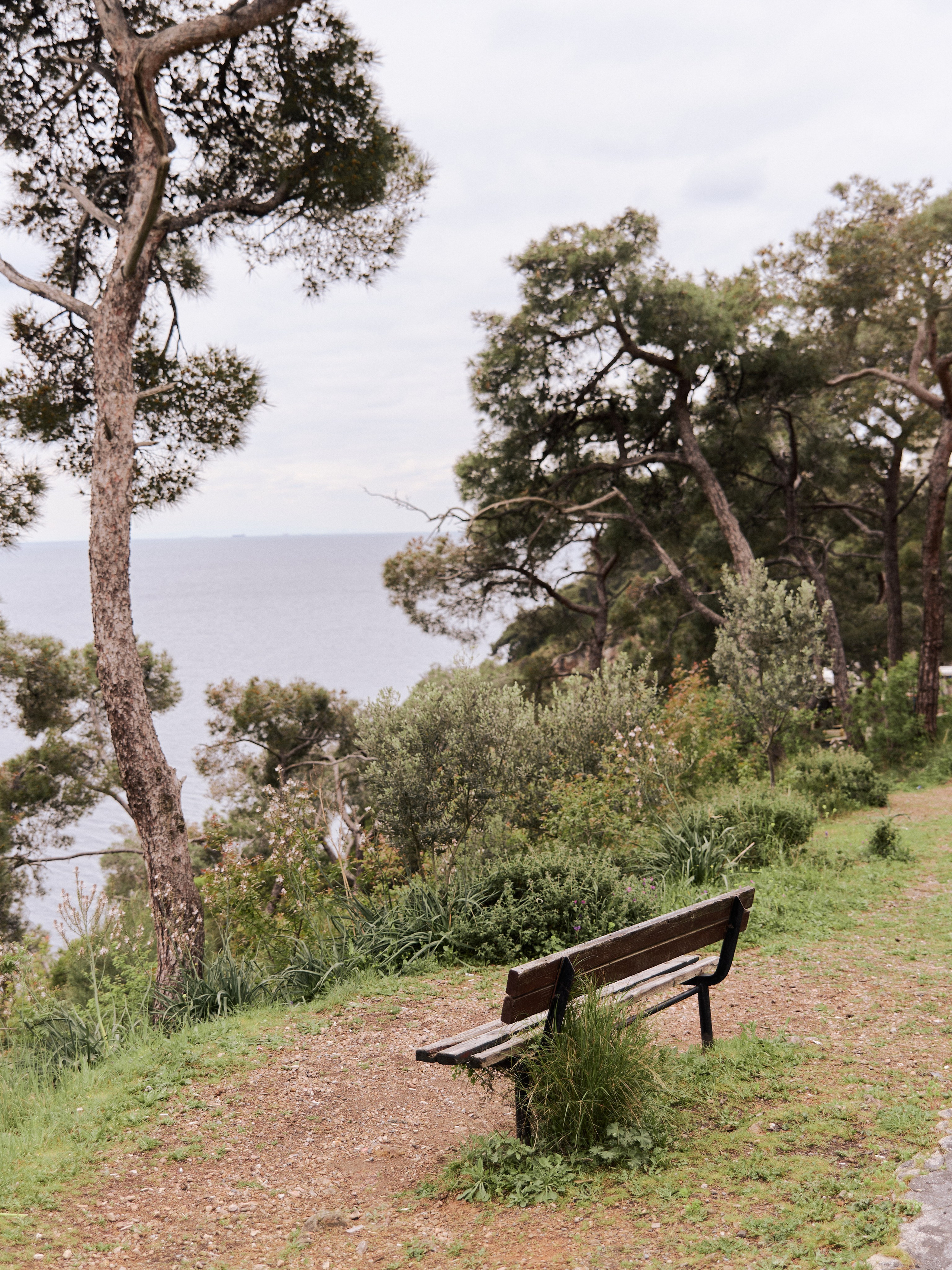 Природа сквозь. Jorgis Talè — photographer, kind person, teacher of arts and other mag