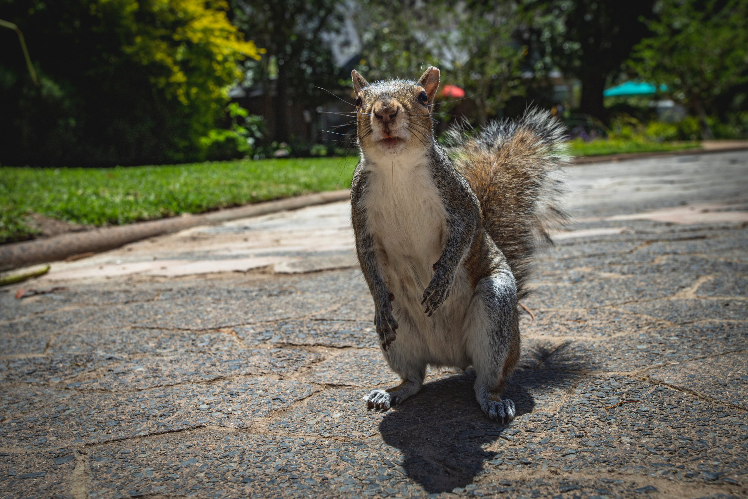 Фотограф Москва, Сергиев Посад