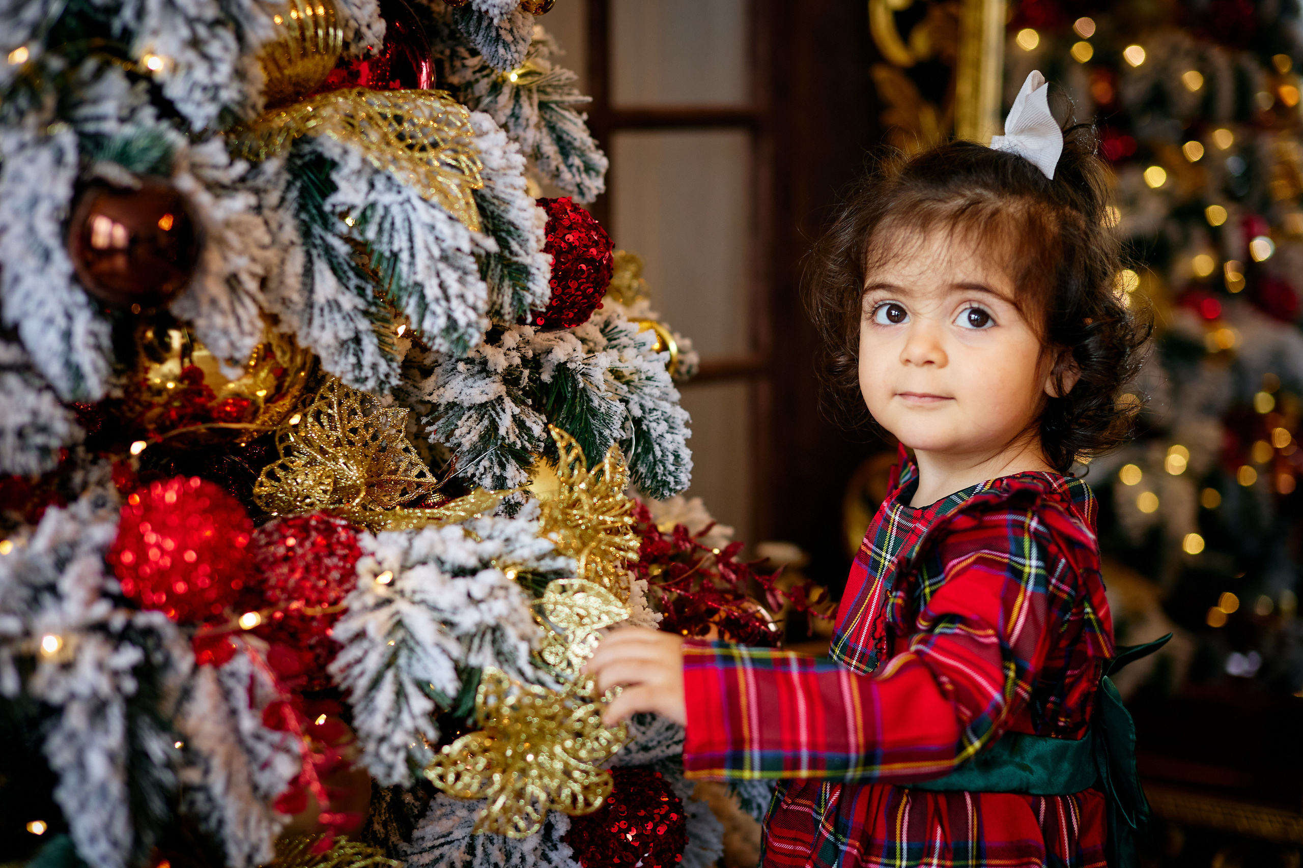 Новогодние съемки 2020-2025. Фотостудия в Калуге Svetstudio