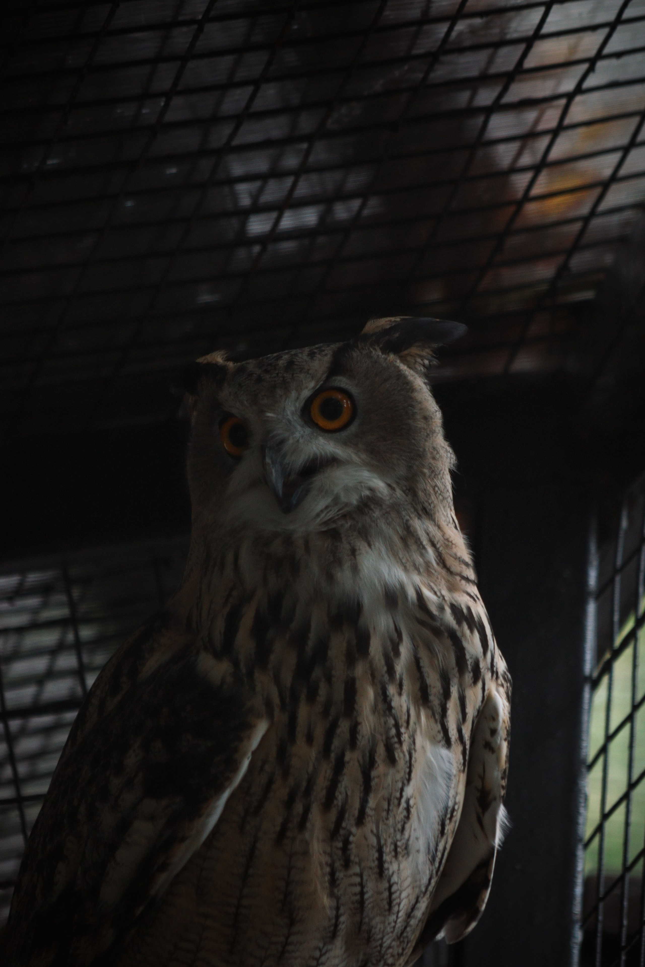 Р А З Н А Я — Ж И В Н О С Т Ь. — Digital Noise —