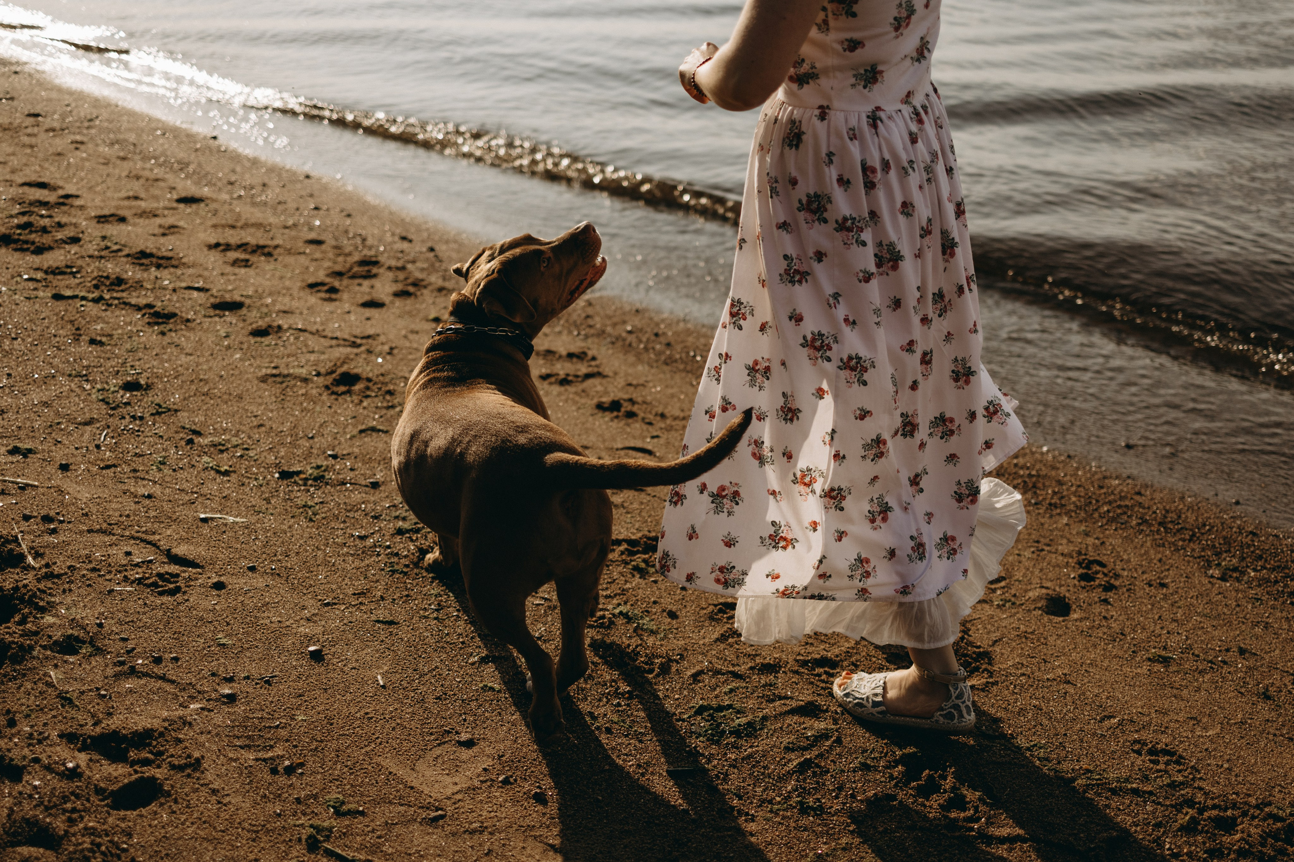 Бонни и ее семья. Фотограф — Анималист | Санкт-Петербург